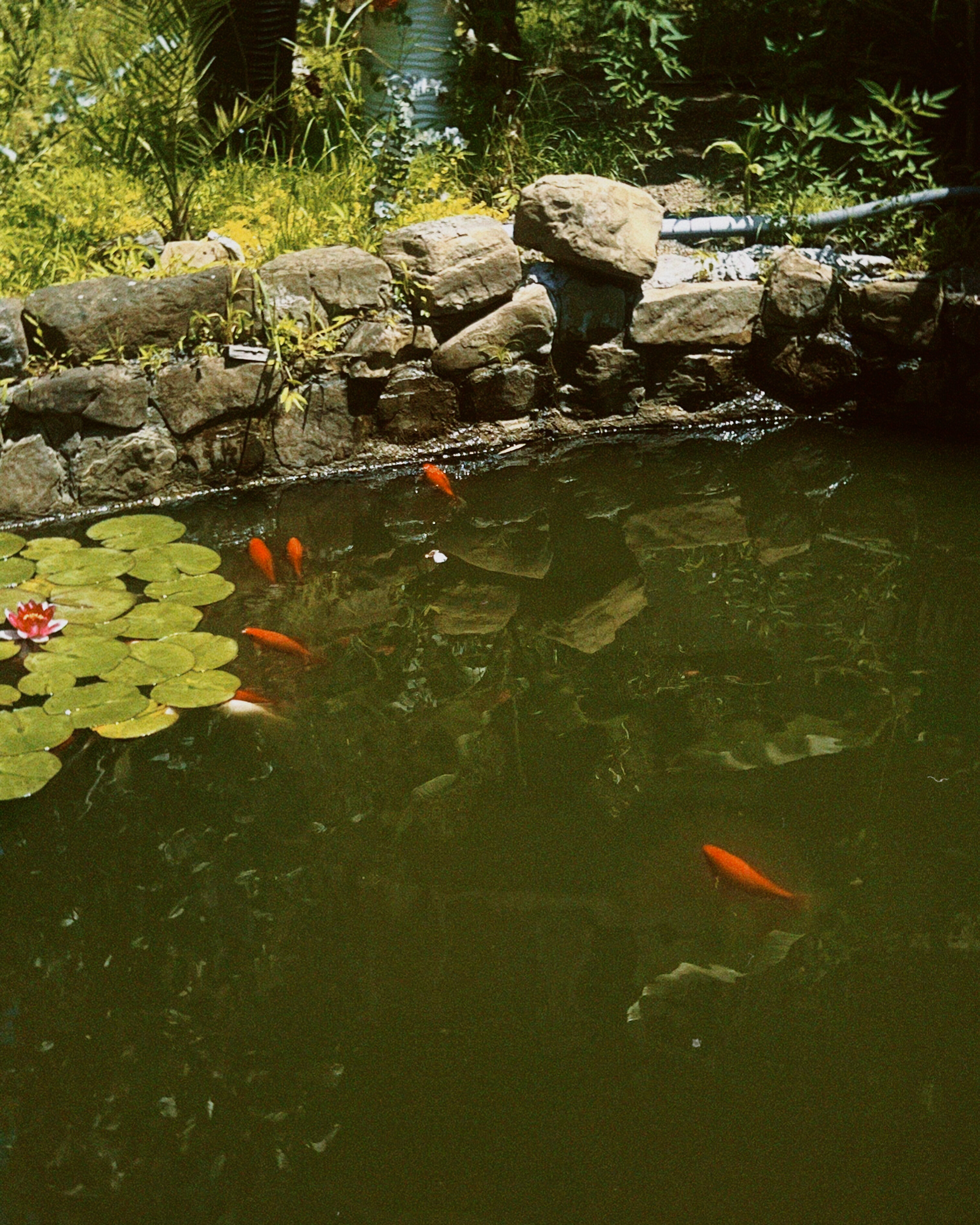 Фото Дом Солнца