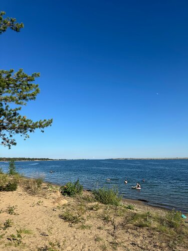 Жағажай жабайы және жалаңаш, бәрі