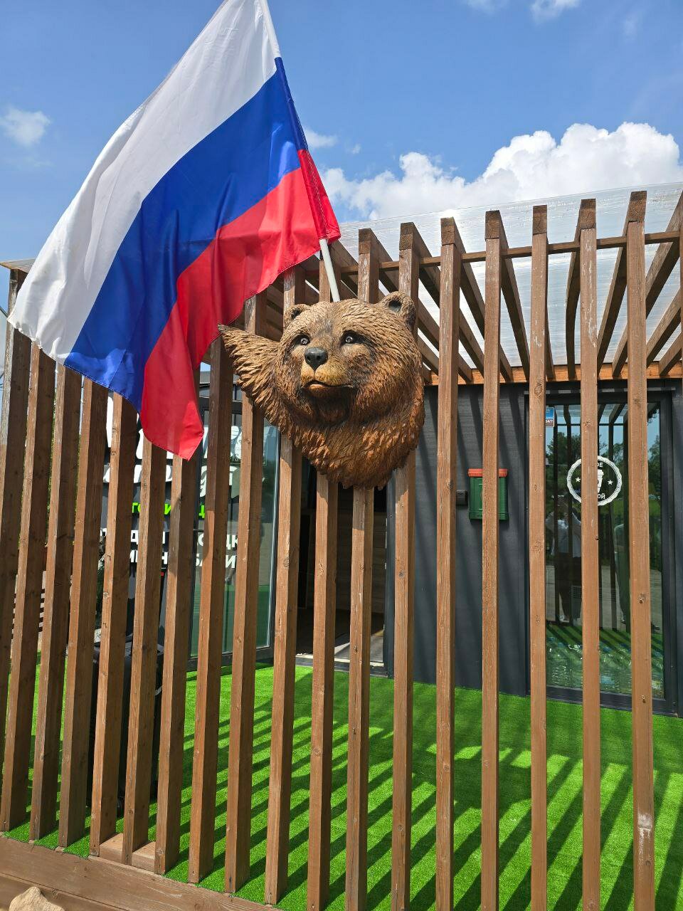 Фото Мишка на прудах