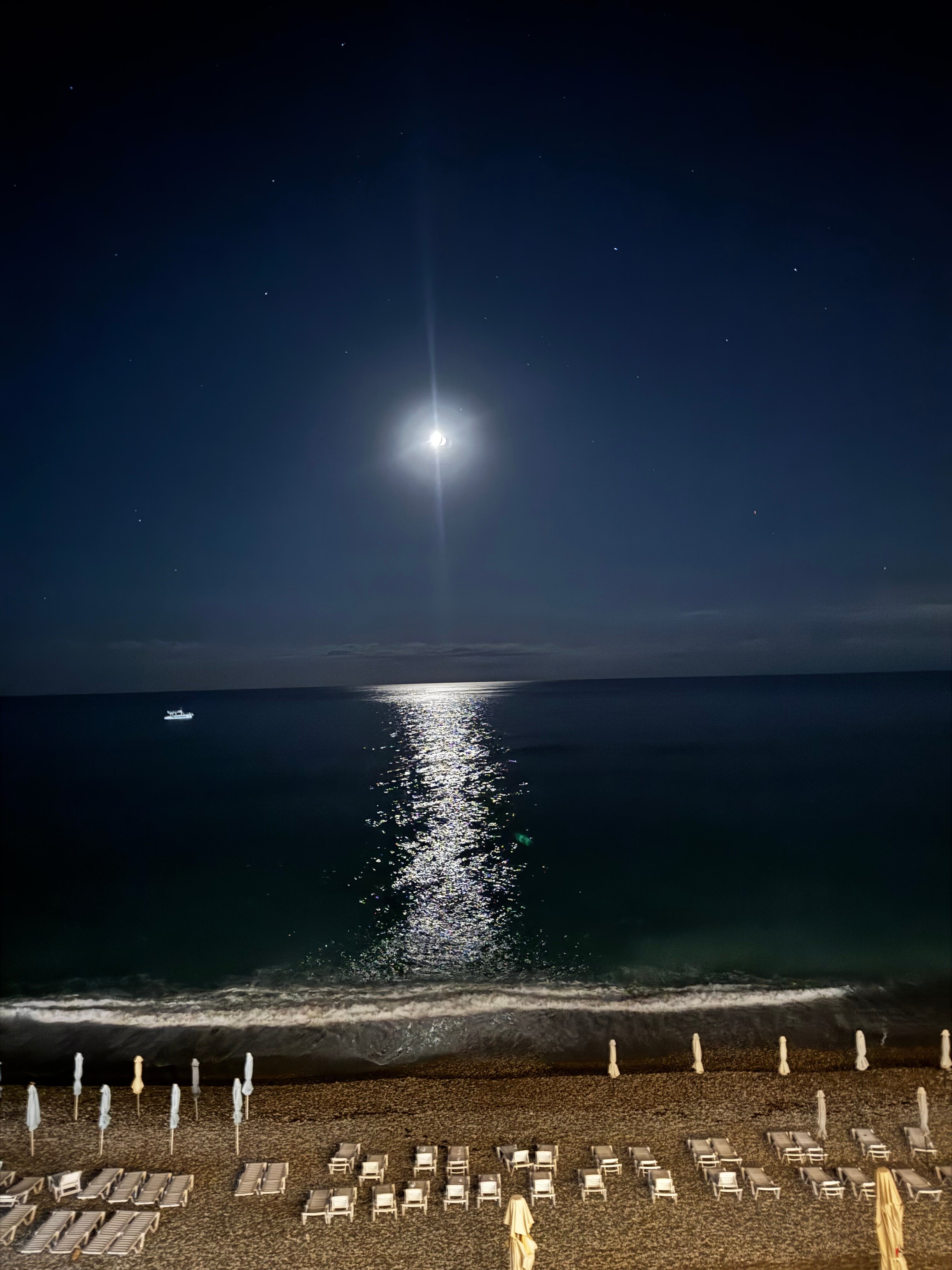 Фото Prince Hotel Gagra