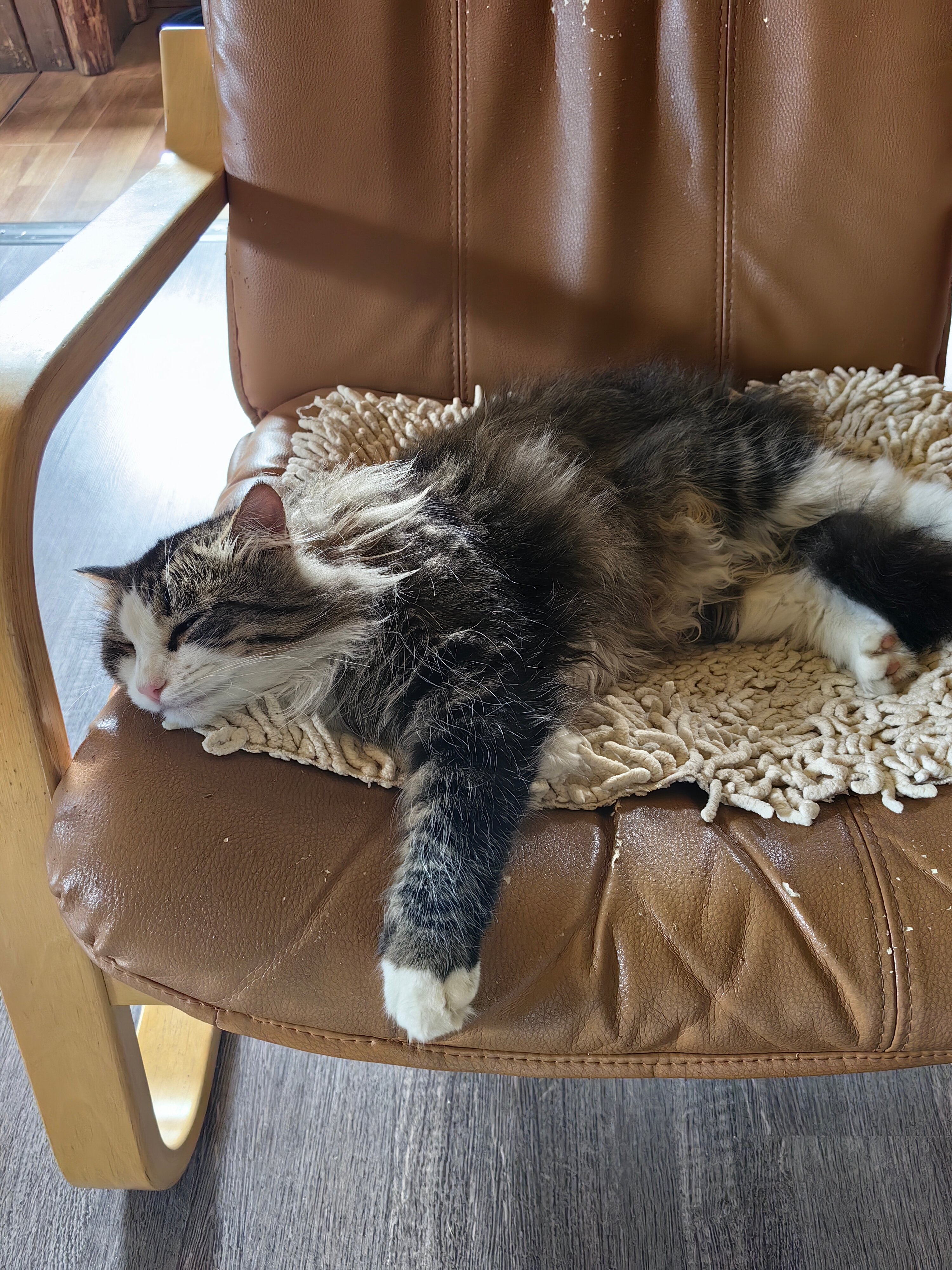 Фото Кохтусельга