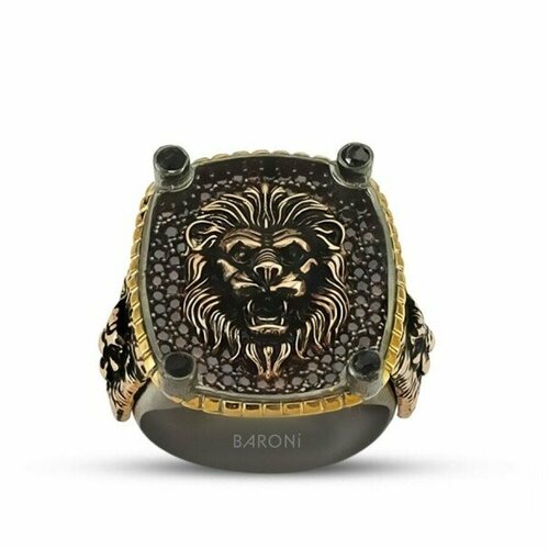 Baroni Diamond Fotoğraf 3