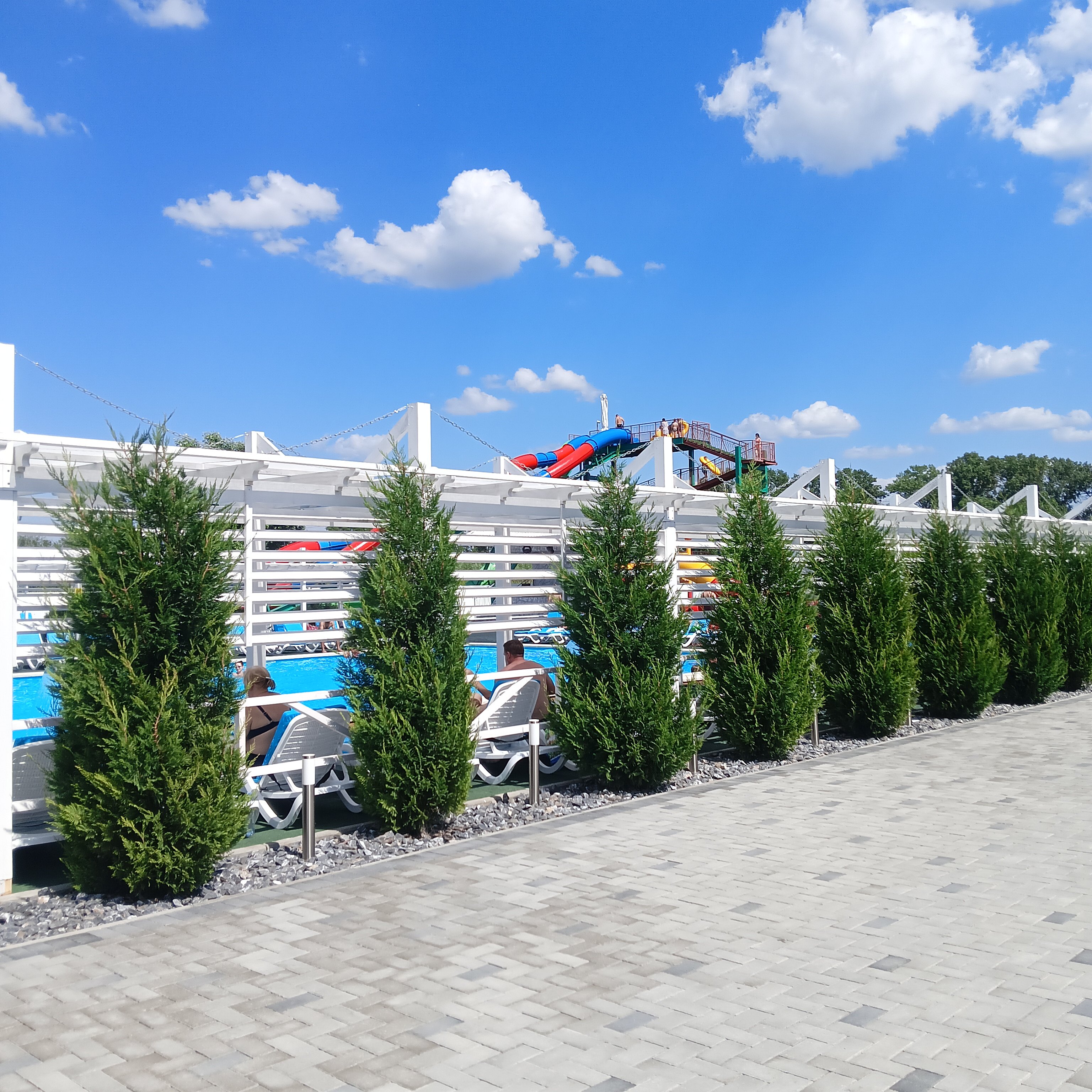 Фото Белый кит