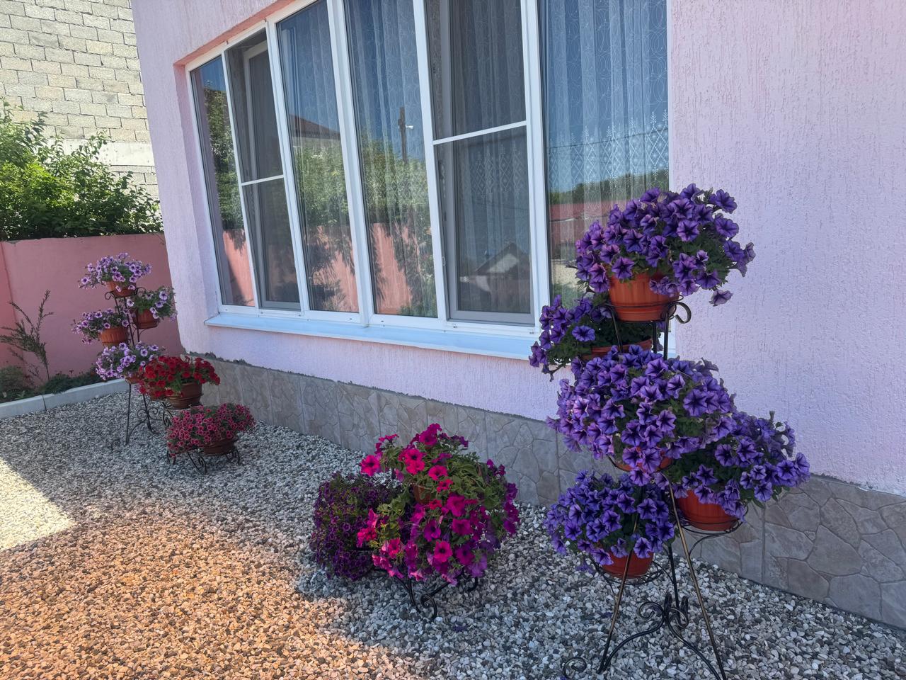 Фото Розовая лагуна