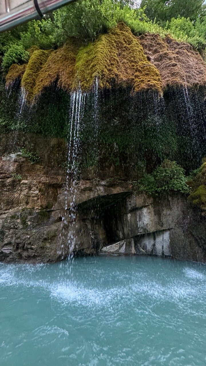 Фото КФХ Родник