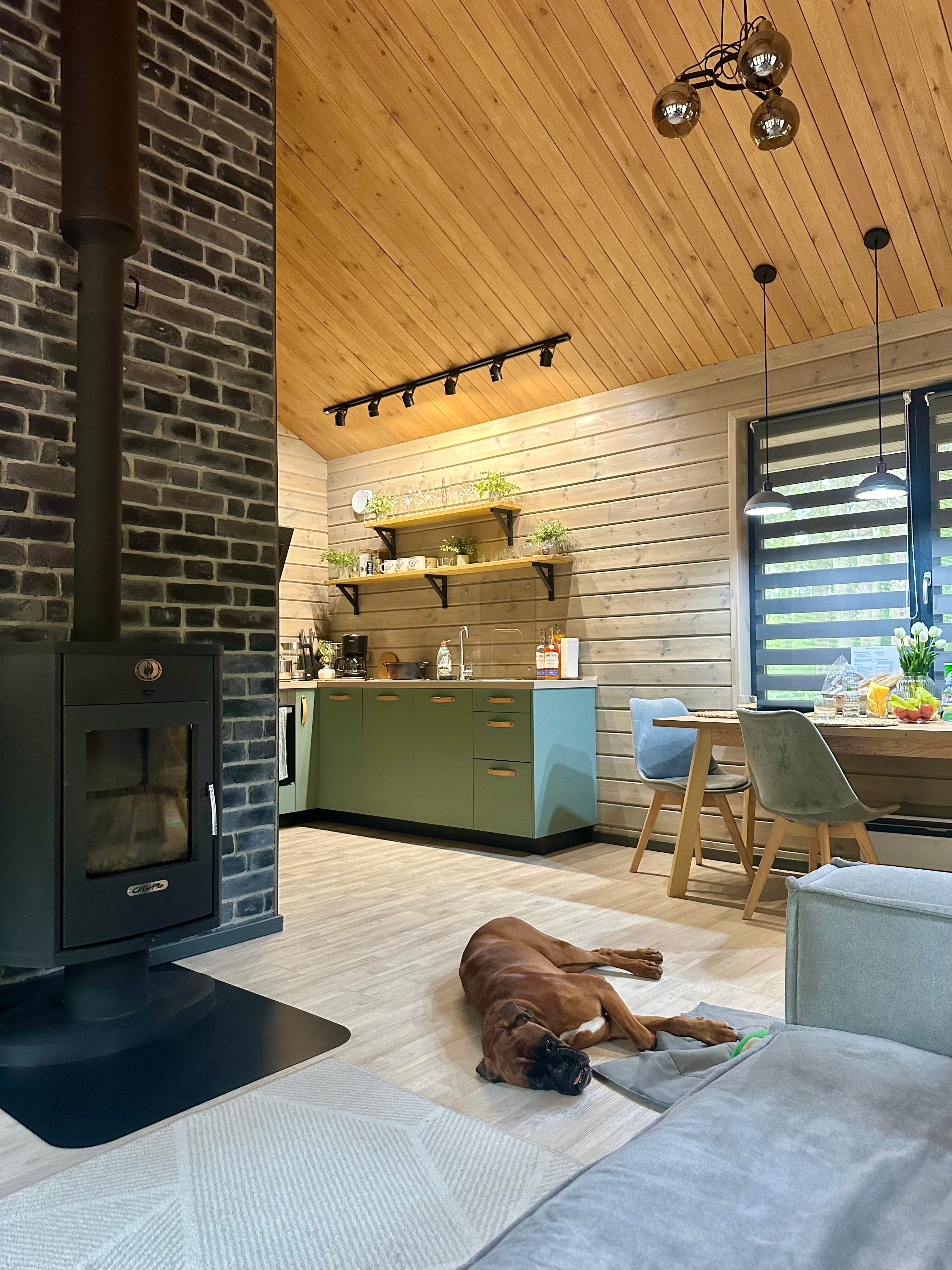 Фото Smell Of The Forest