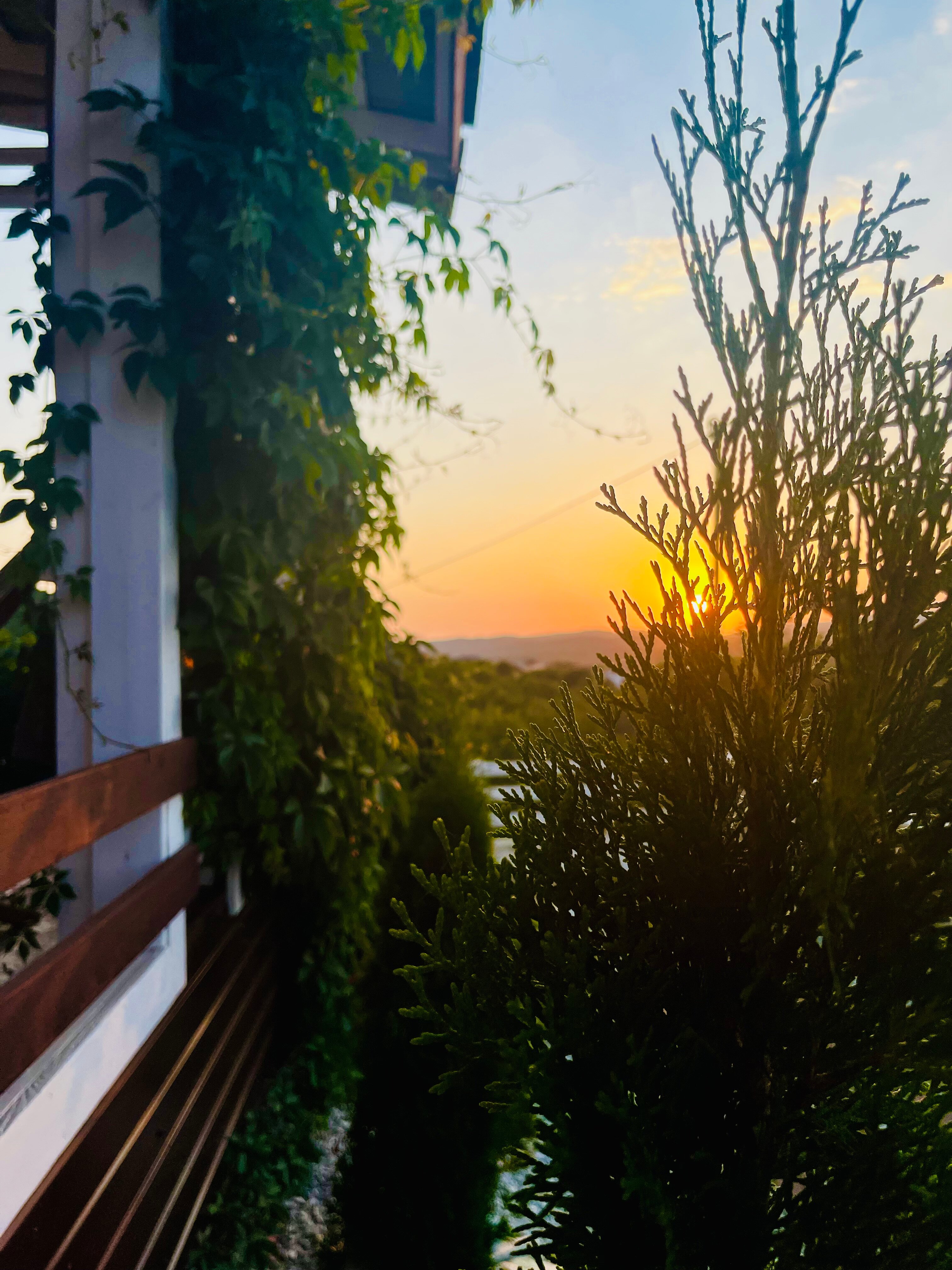 Фото Вилла Изумрудный лес