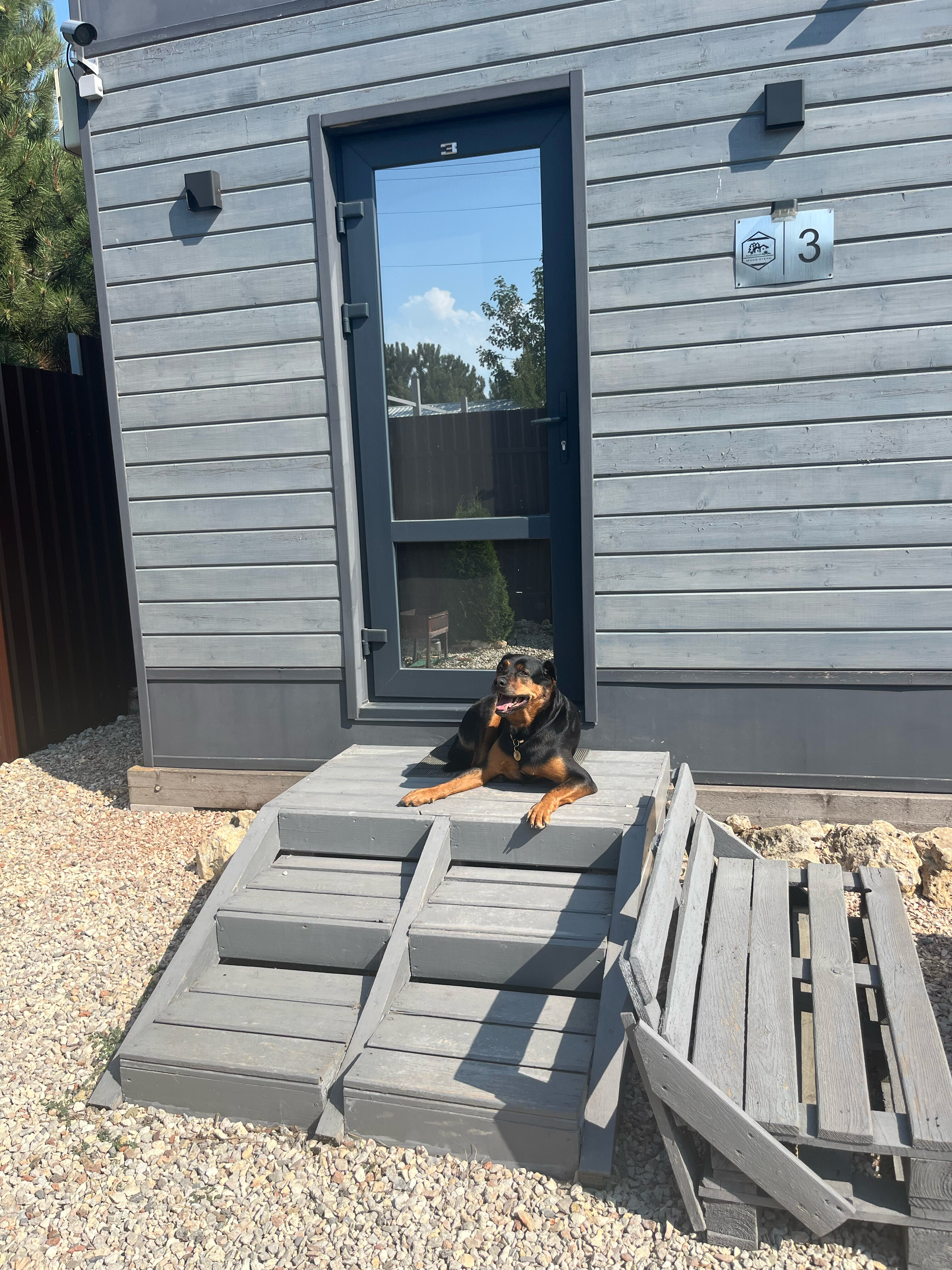 Фото ЁлкиХоум