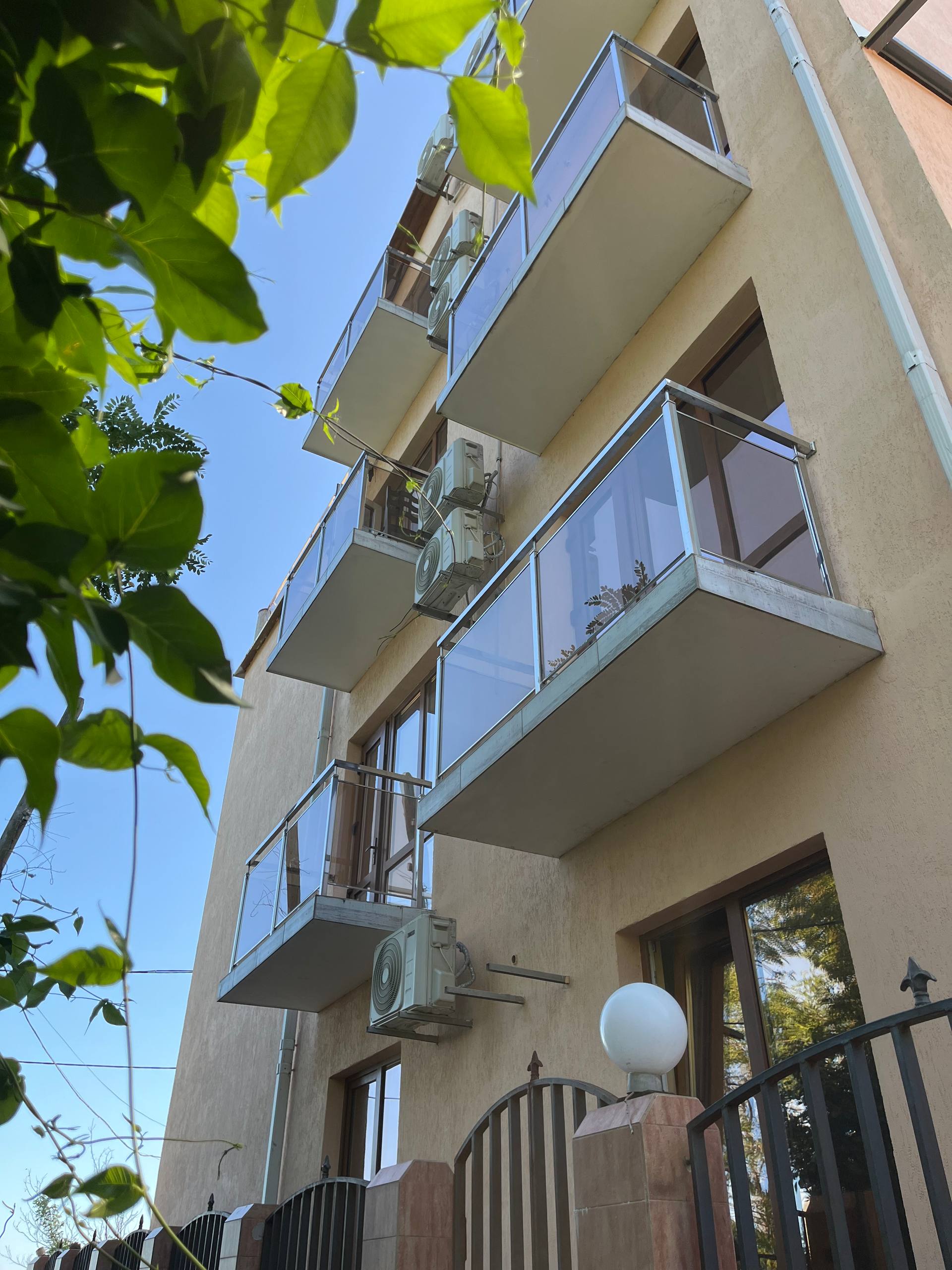 Фото Мандарин