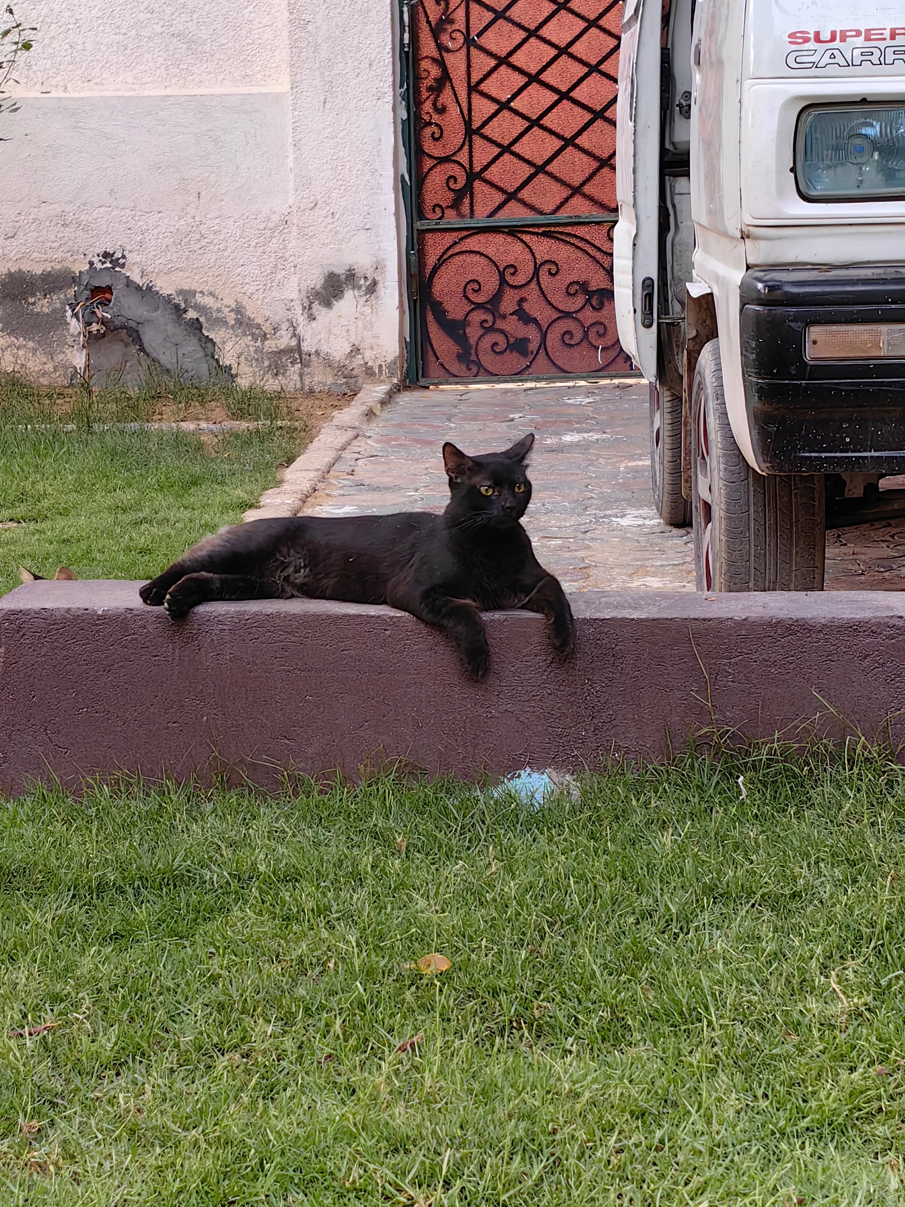 Фото Turquoise Pyramids Palace