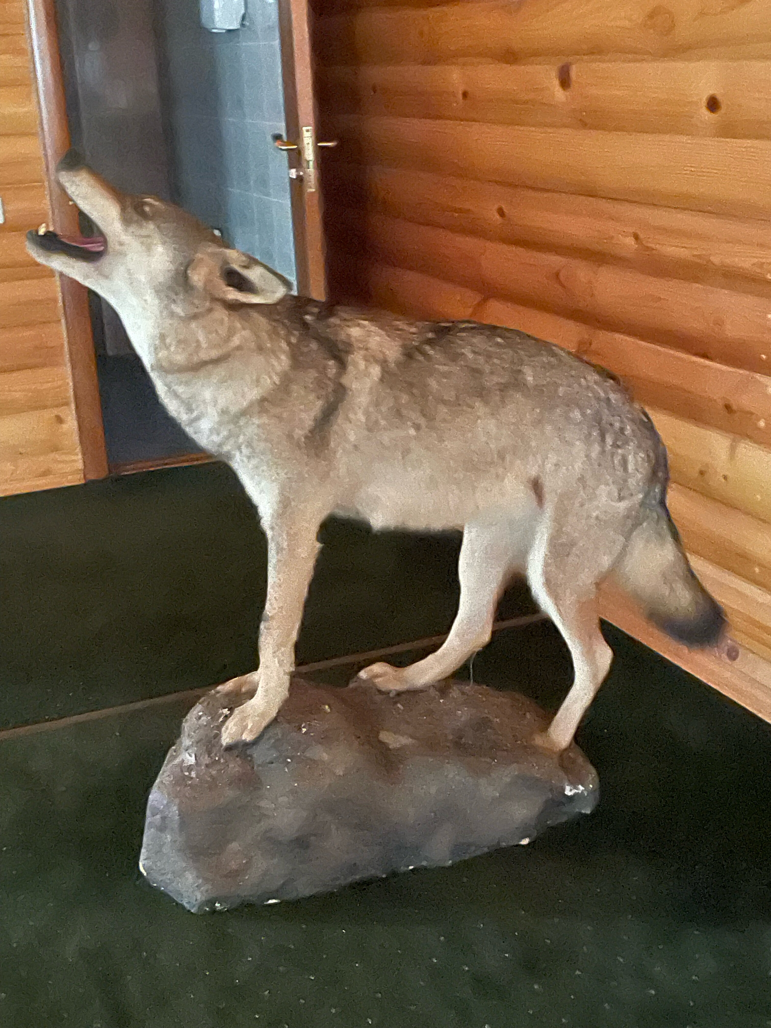 Фото Семь Островов