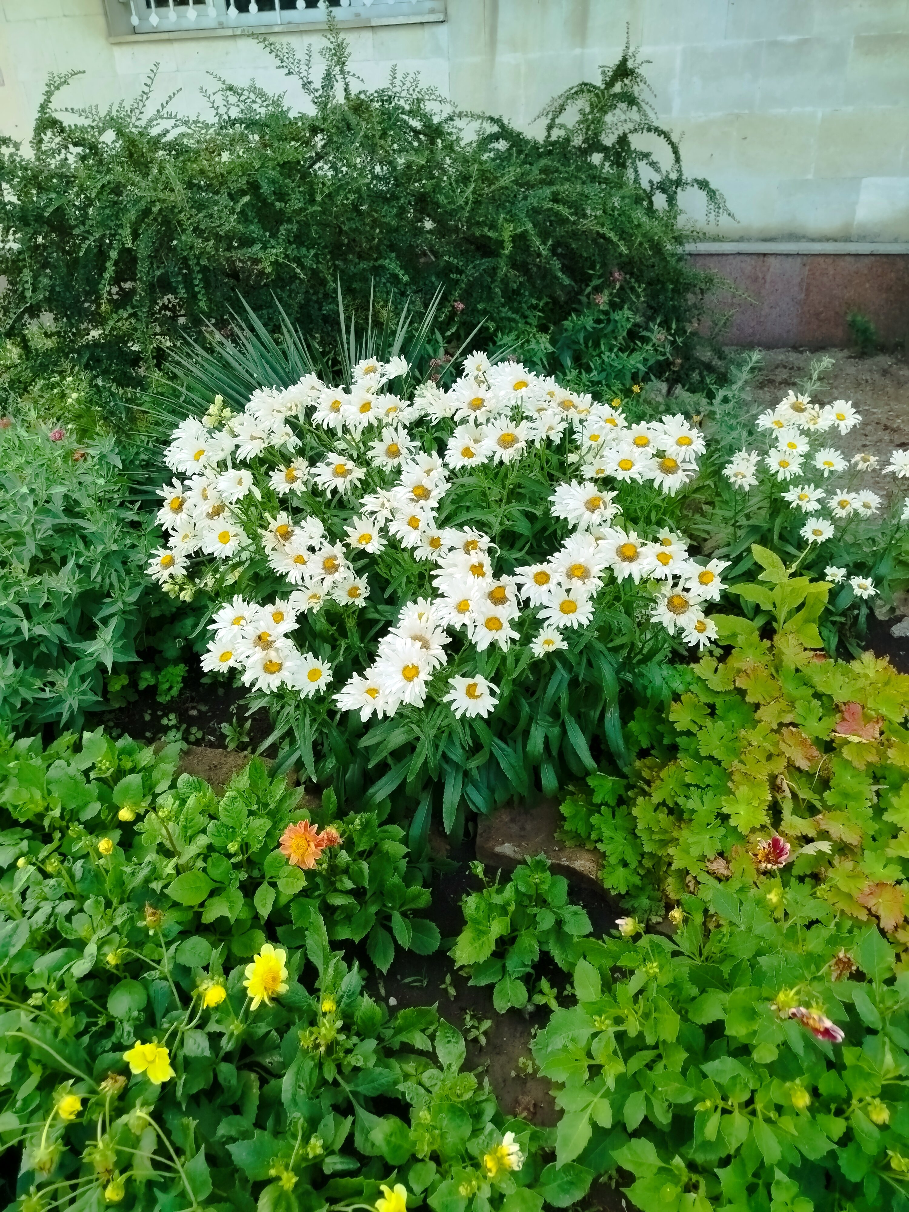 Фото Голубой залив