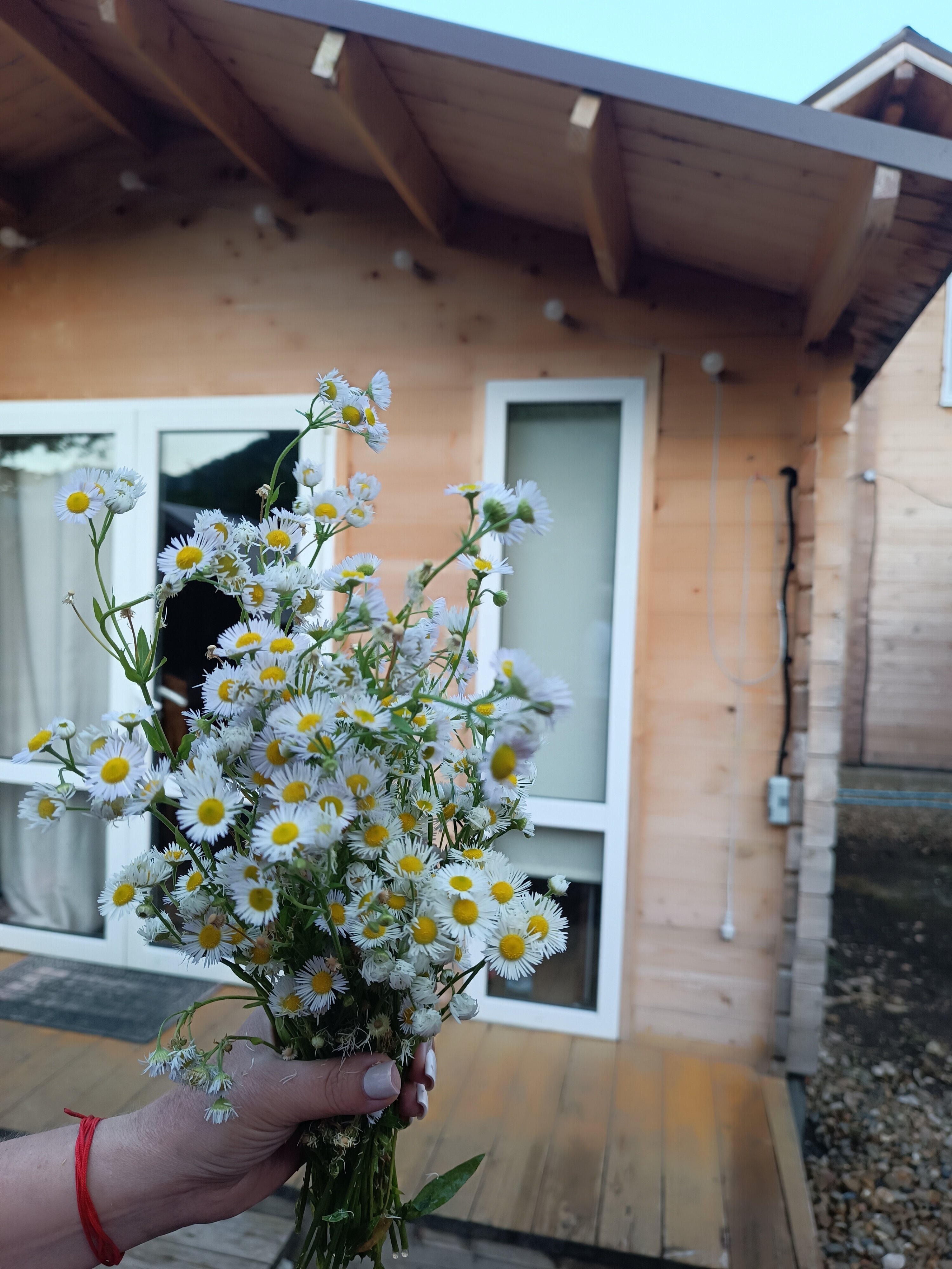 Фото Казачий Двор