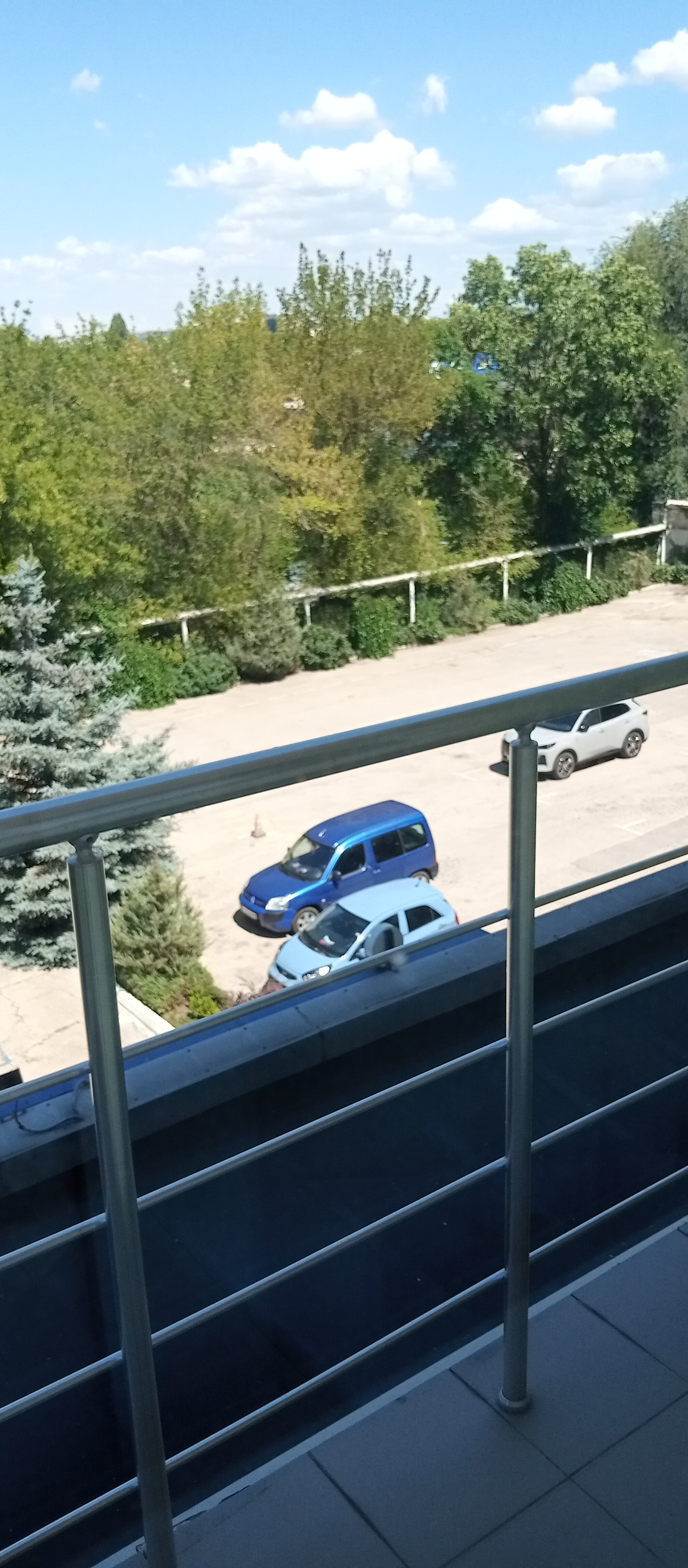 Фото Спортивная