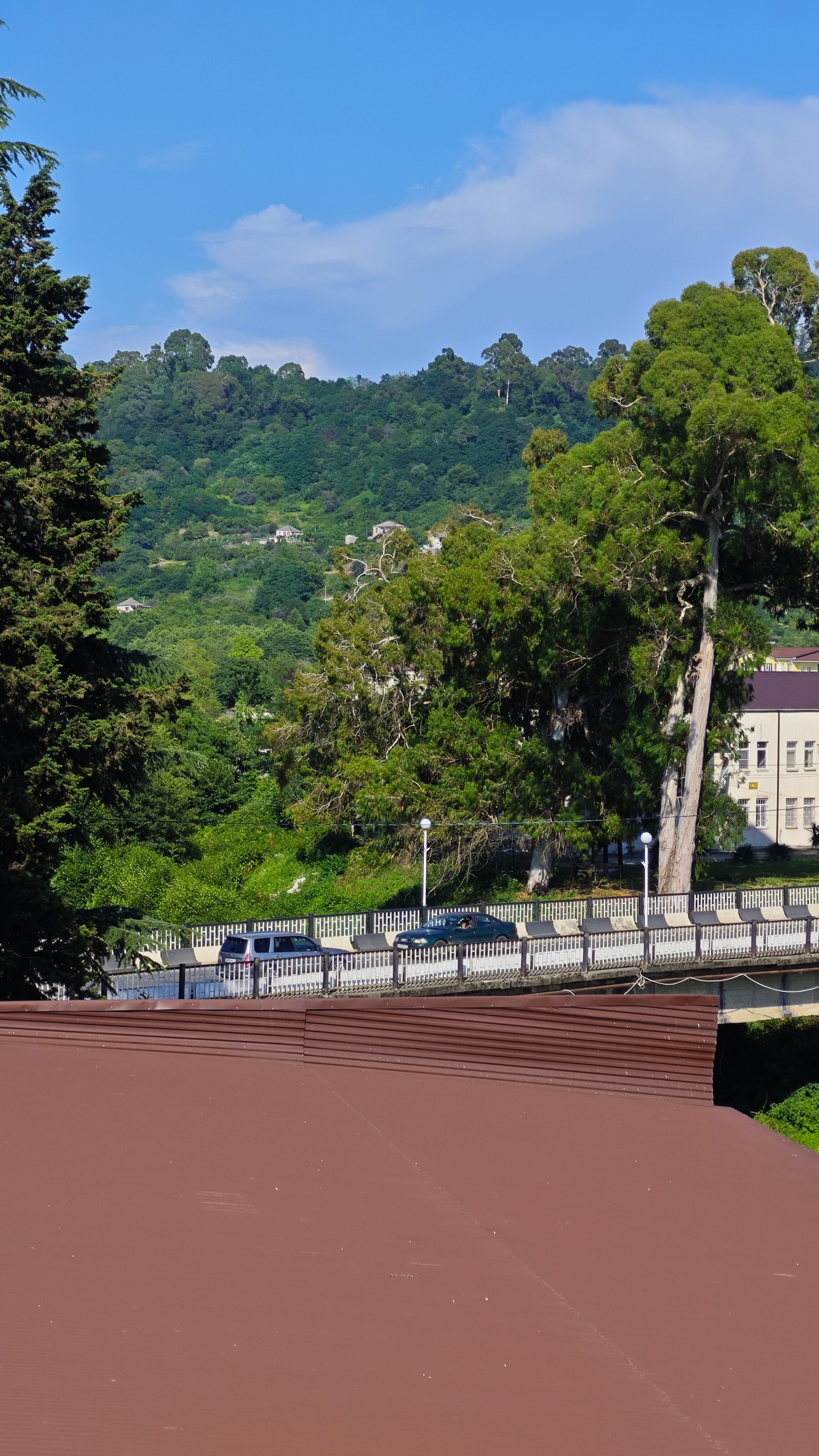 Фото Апсилиа