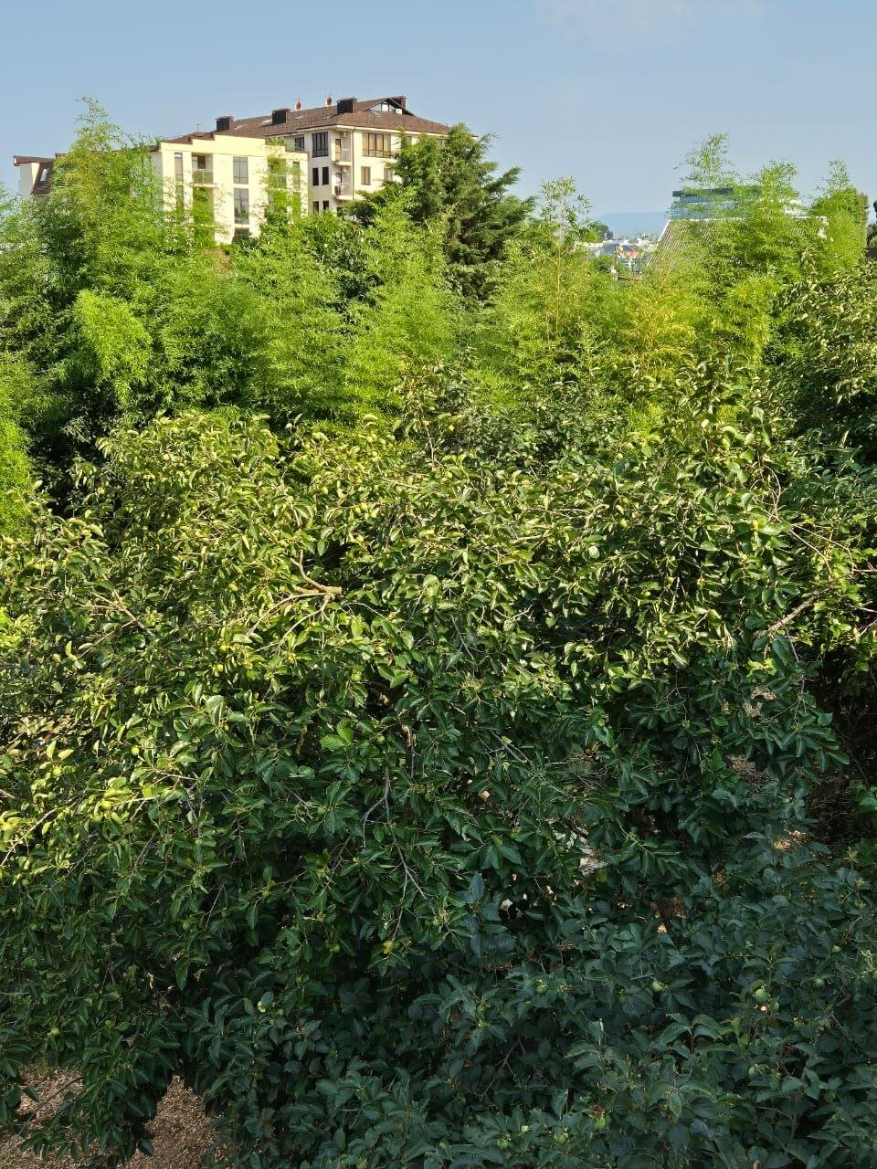 Фото ArMarinHouse