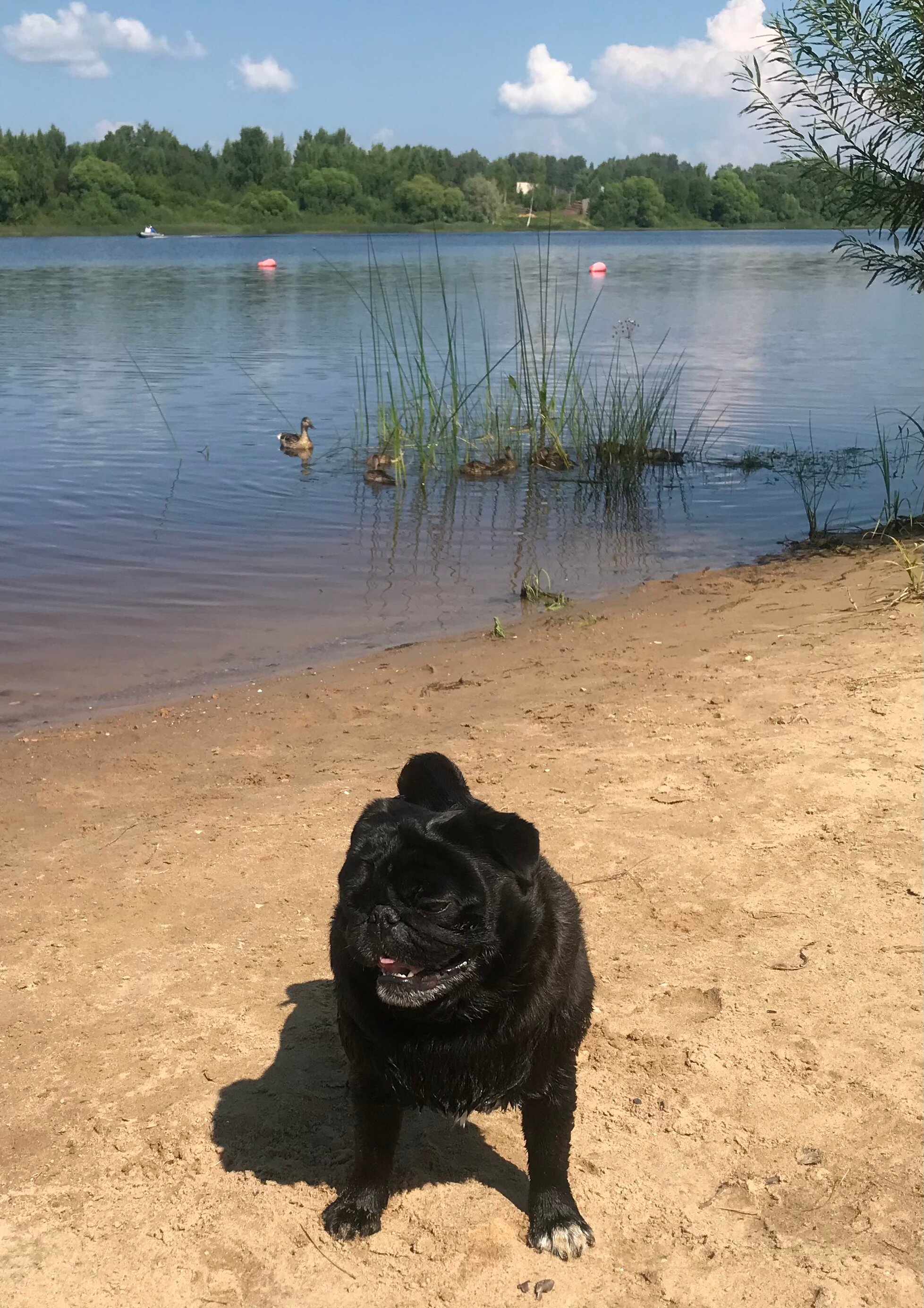 Фото Чудной двор