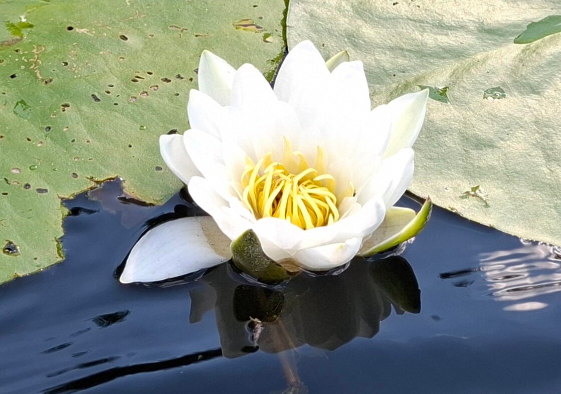 Фото На Заре