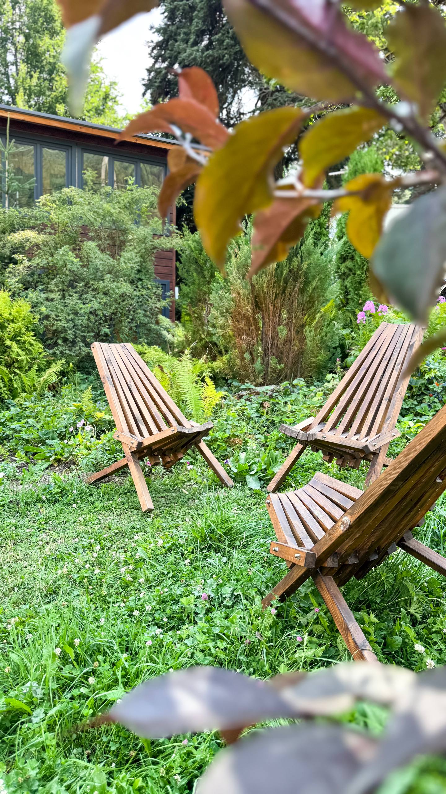 Фото Золотой Орёл