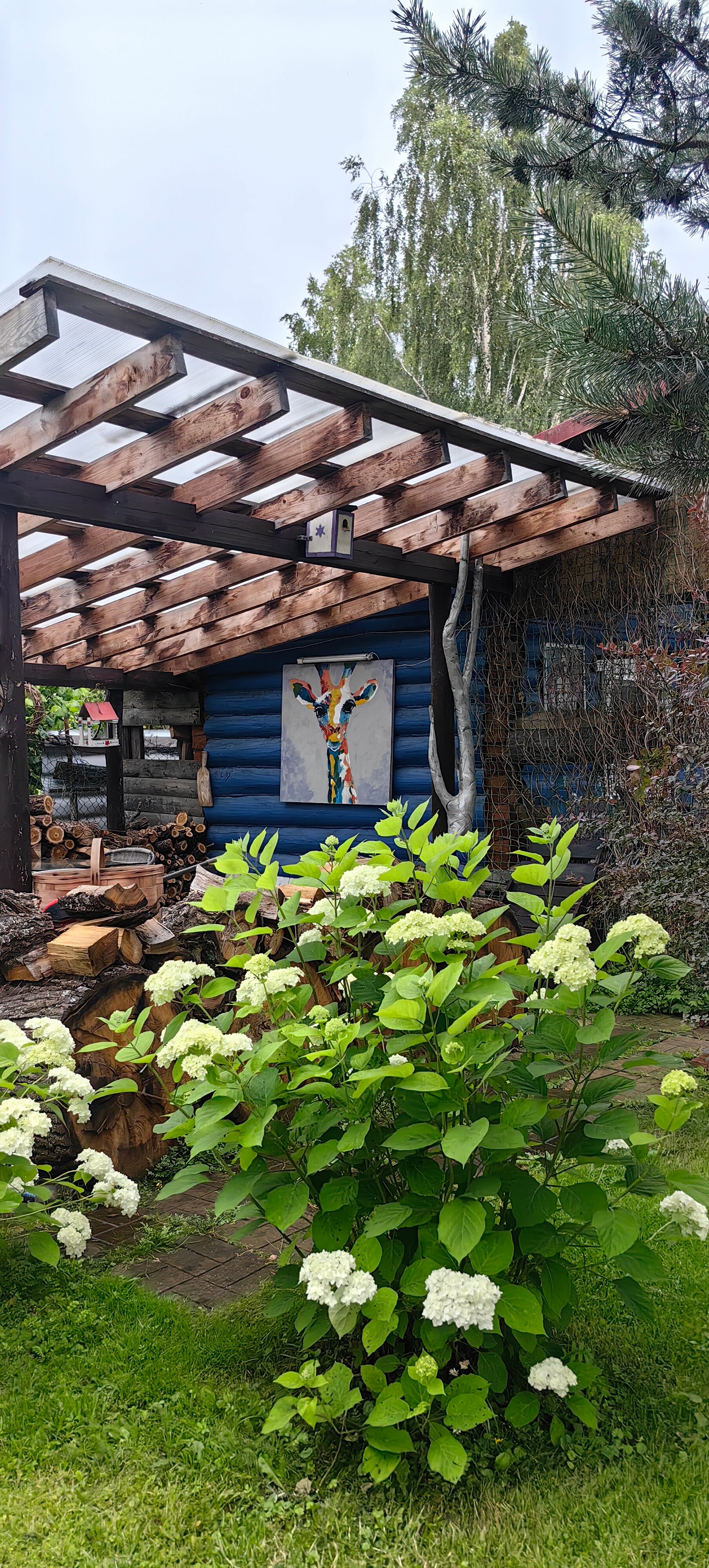 Фото Лавандовый сад