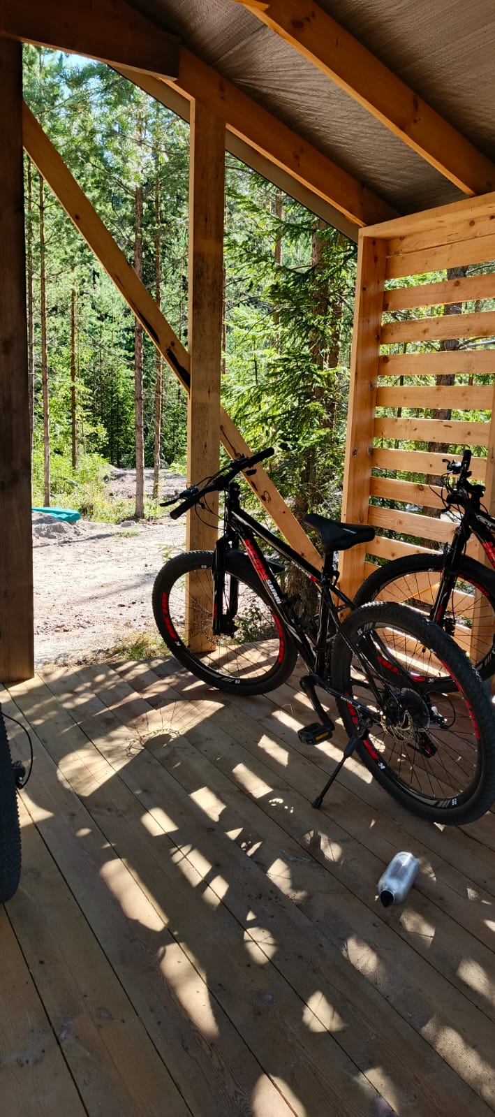 Фото Infinity Forest