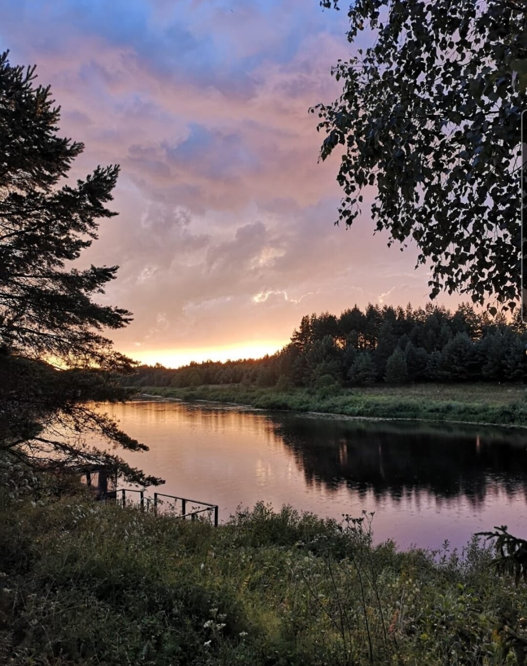 Фото Медведица