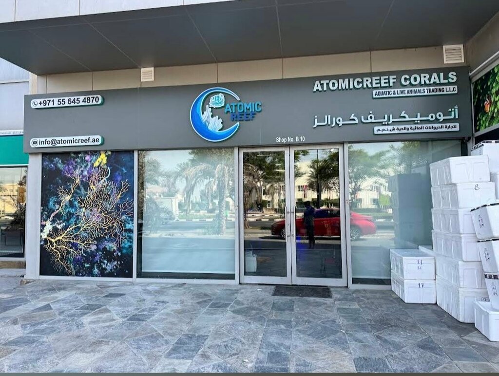Aquariums Atomicreef Corals, Dubai, photo