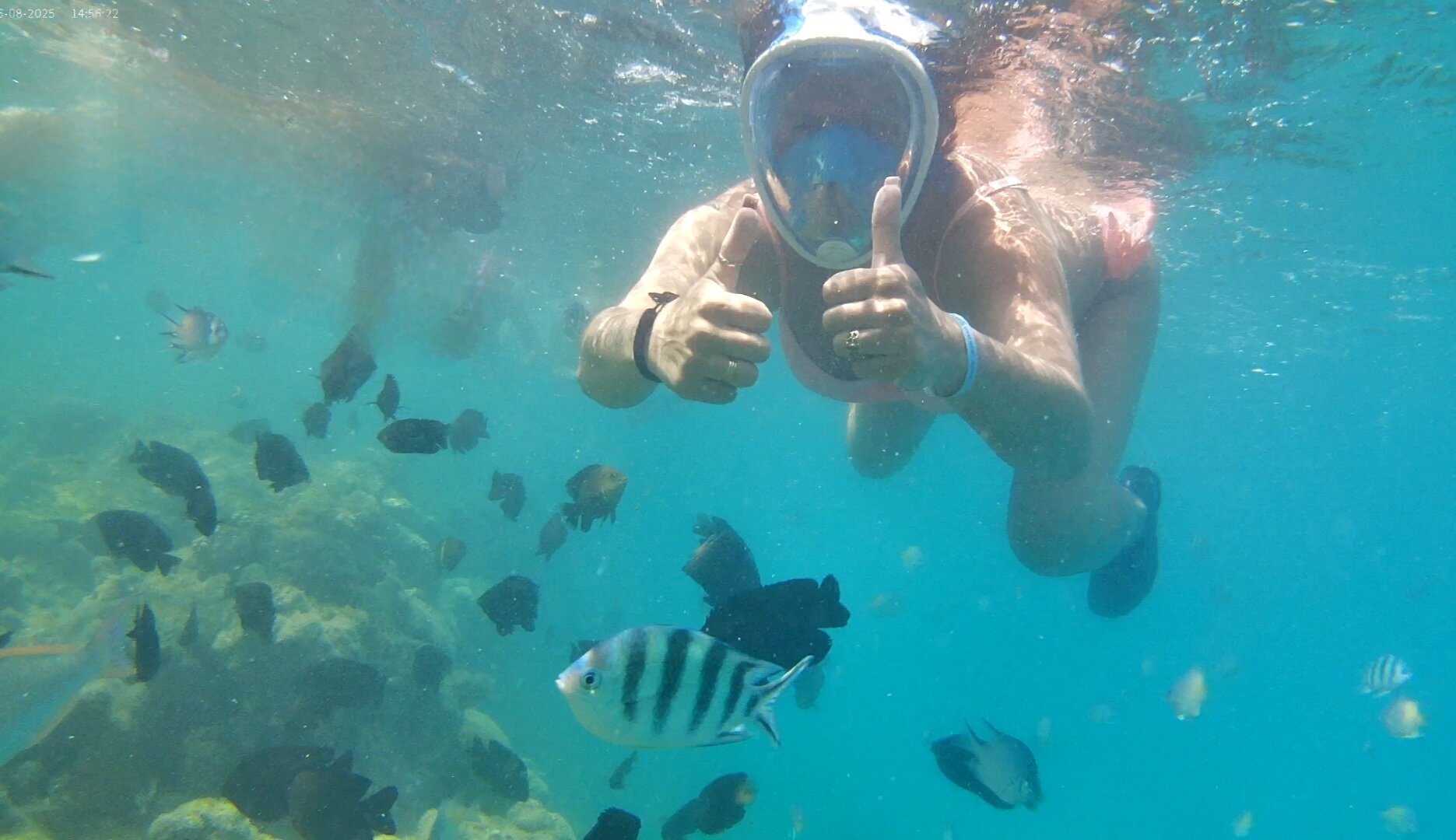 Фото Sphinx Aqua Park Beach Resort