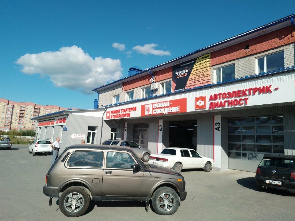 Pet hotel TopDog, Tyumen, photo