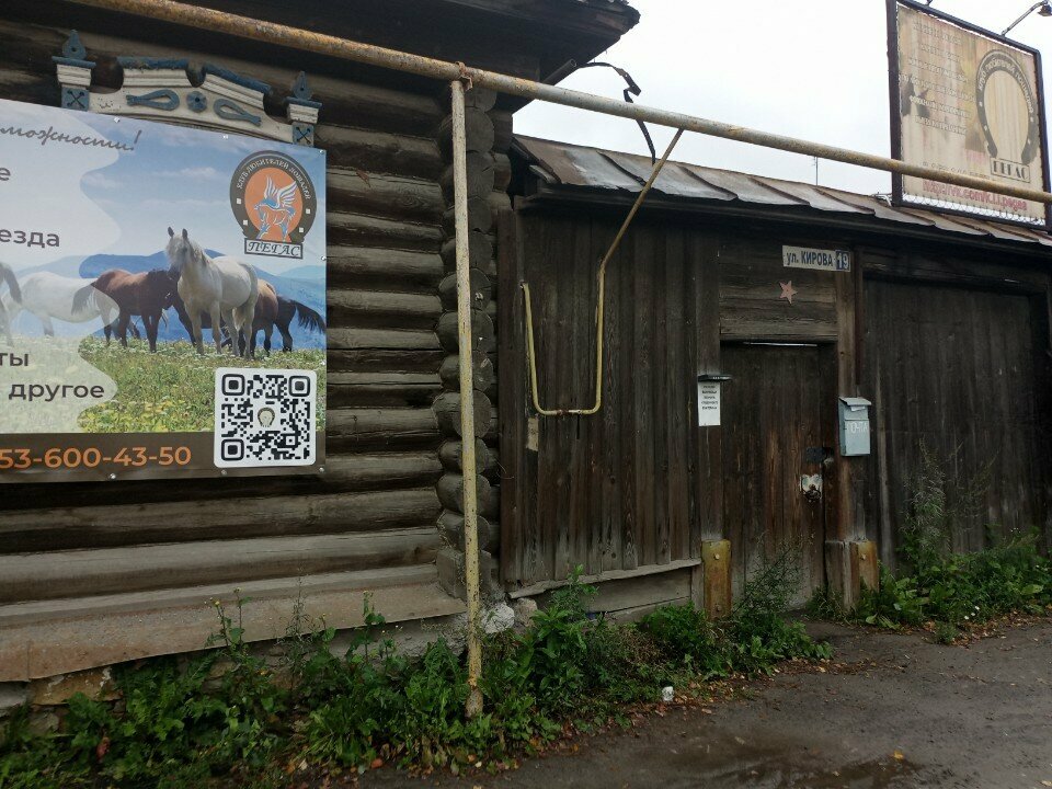 Horse riding Klub lyubiteley loshadey Pegas, Berezovskyi, photo