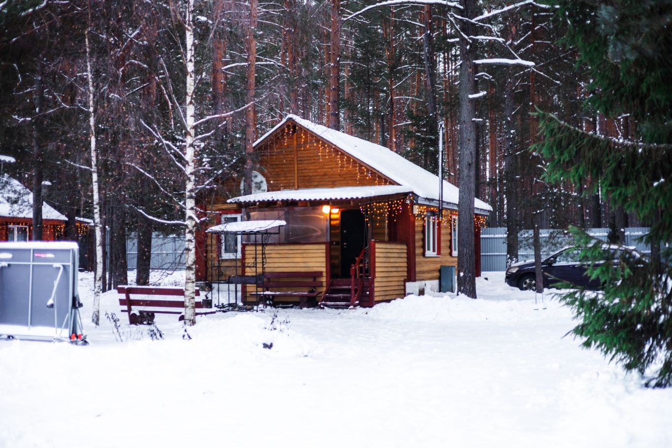 Фото Отдых на Волго