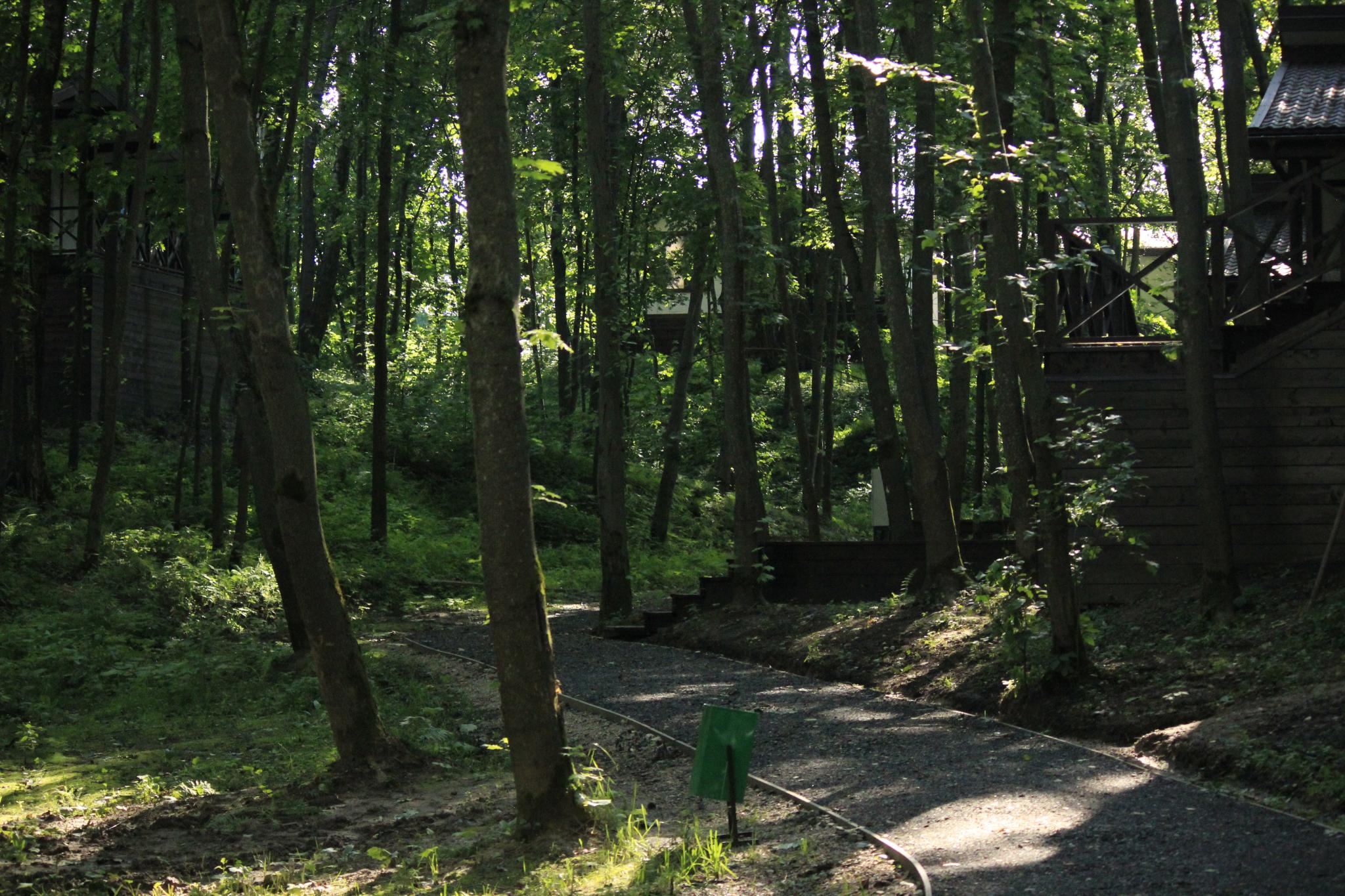 Фото Парк-отель Истра