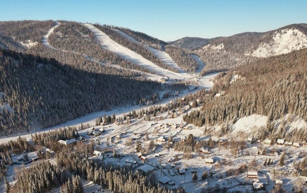 Фото Ромашка