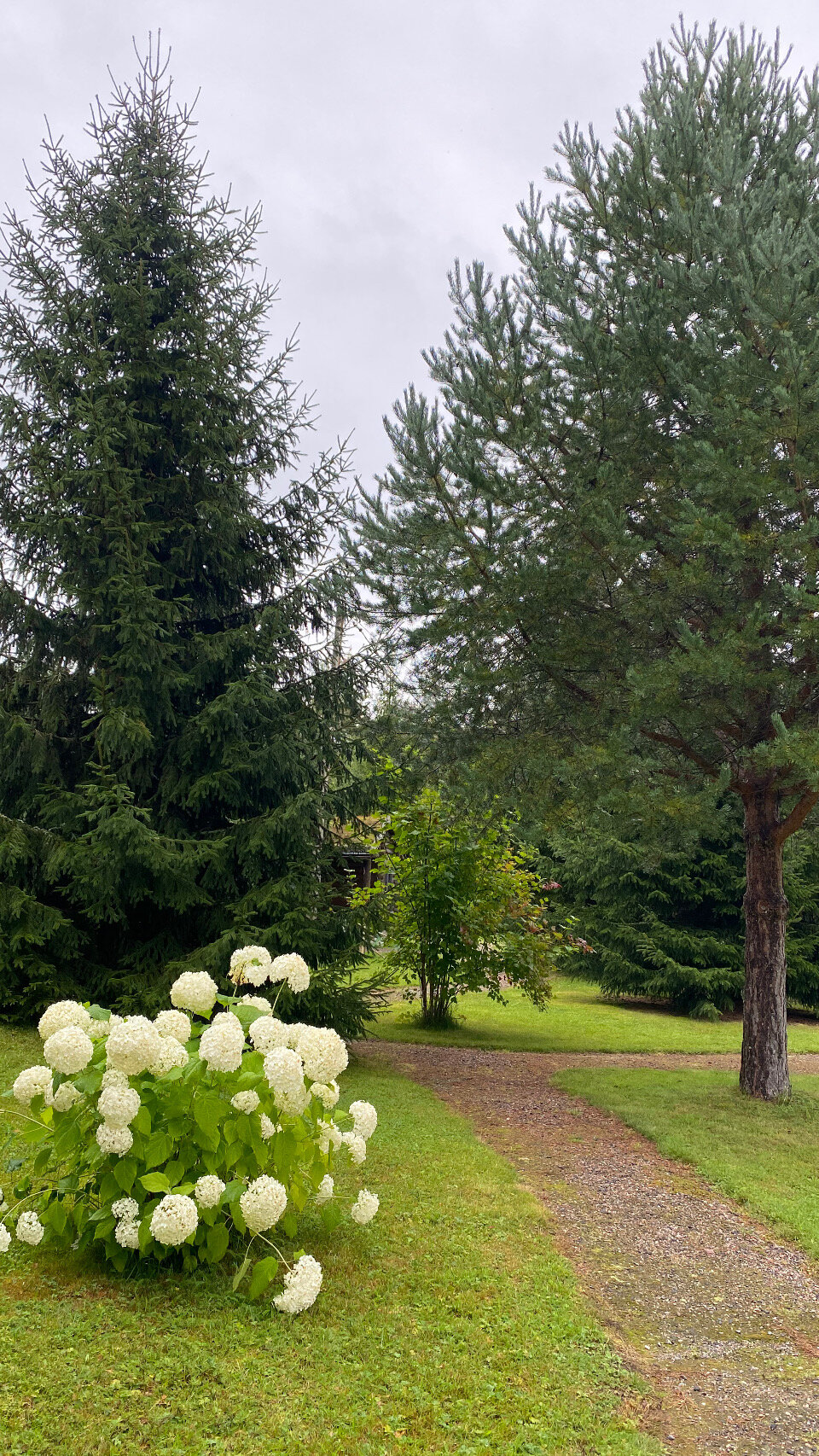 Фото Три стихии - Ууксу