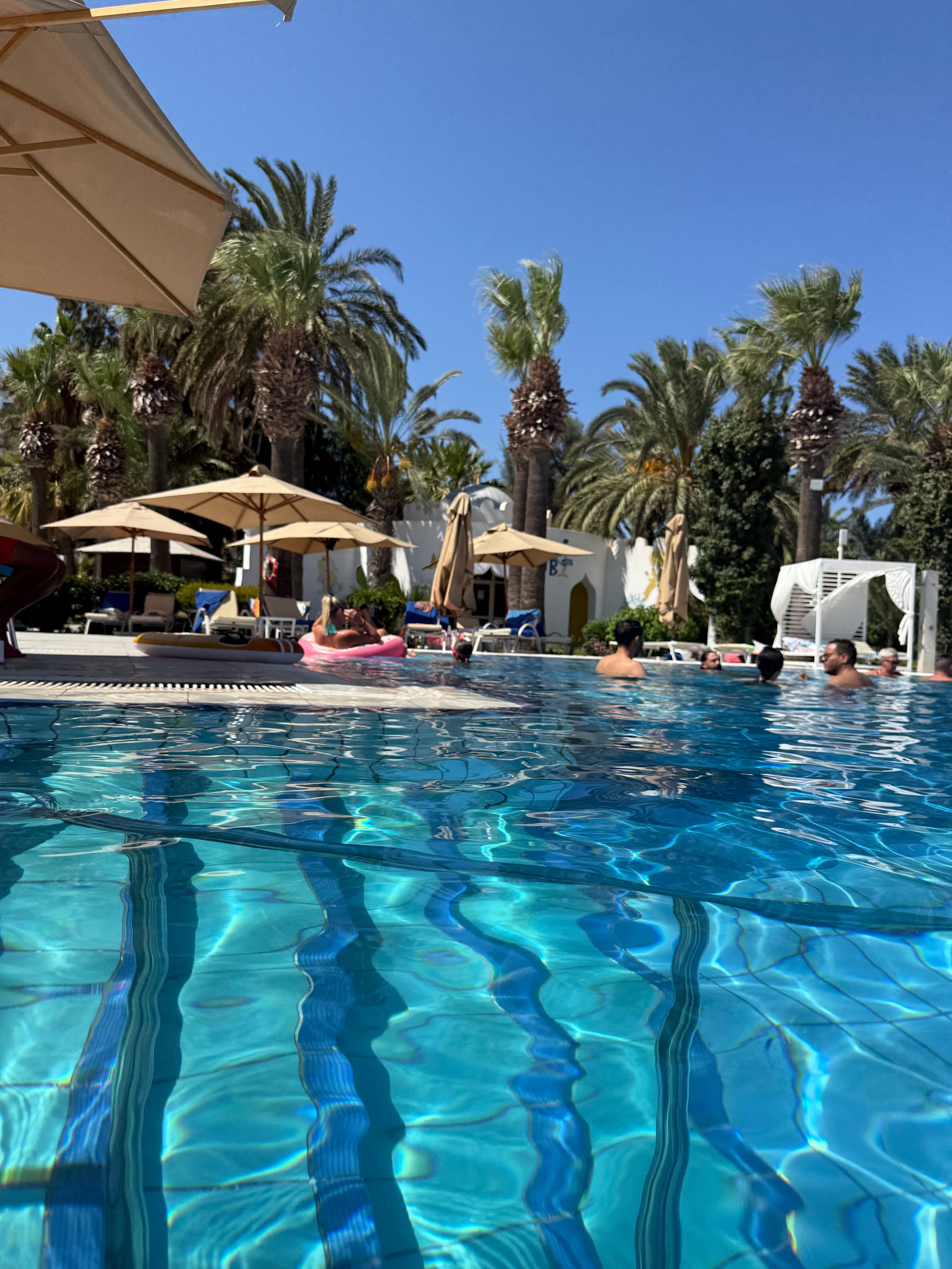 Фото 135145736636