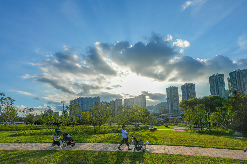 Dog park Penfold Park, Hong Kong, photo