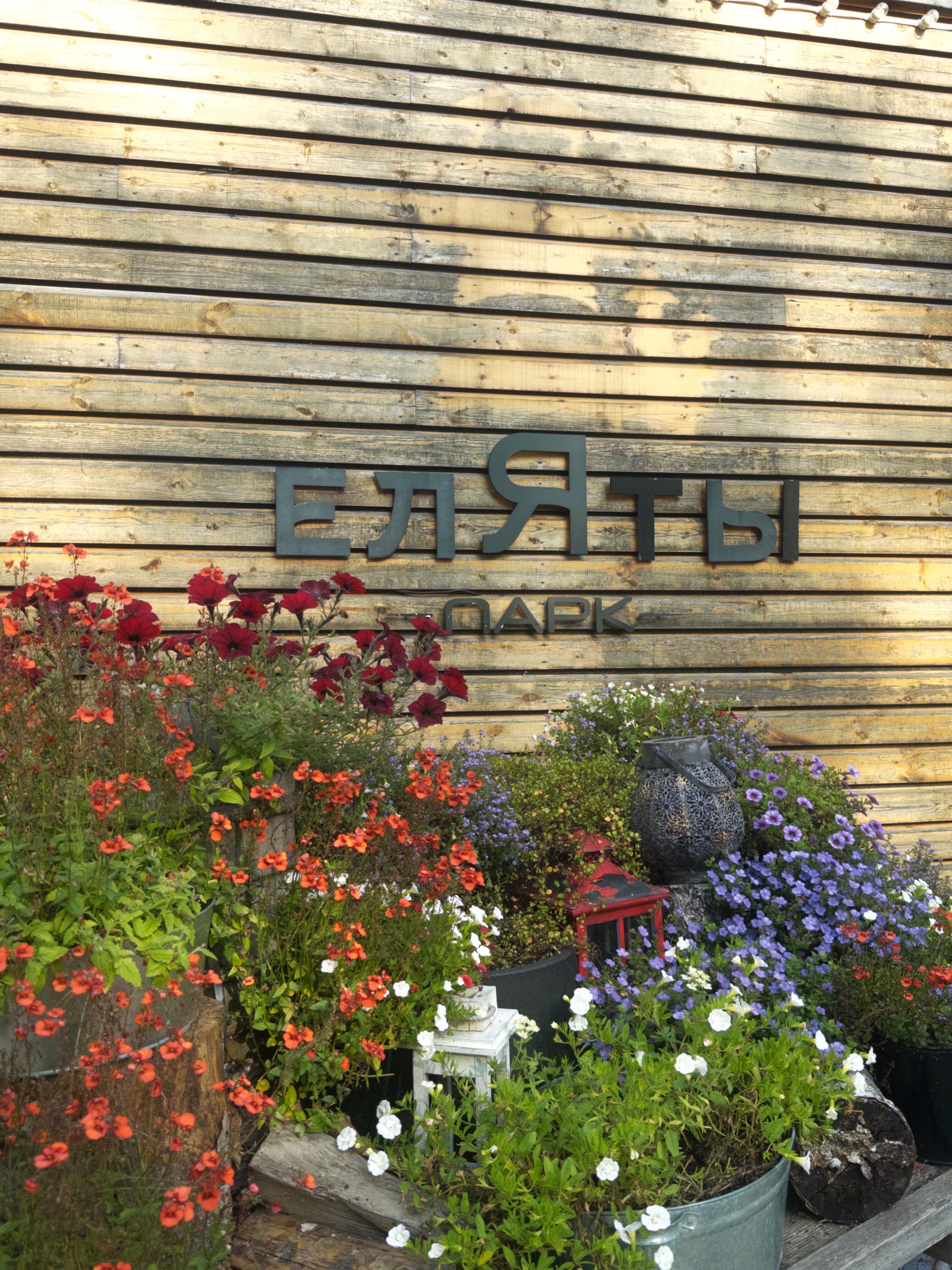 Фото ЕлятыЛодж