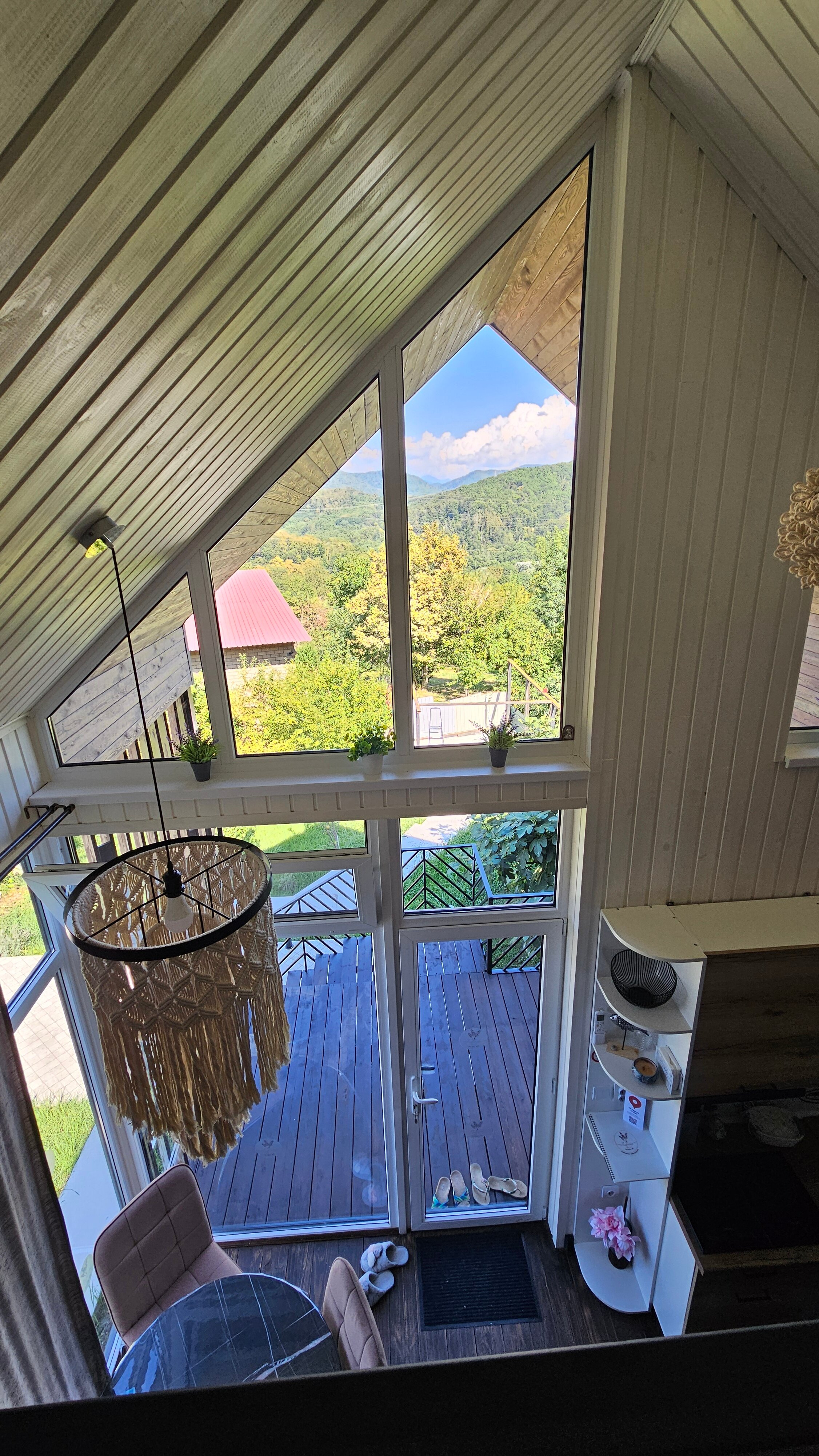 Фото Лаванда