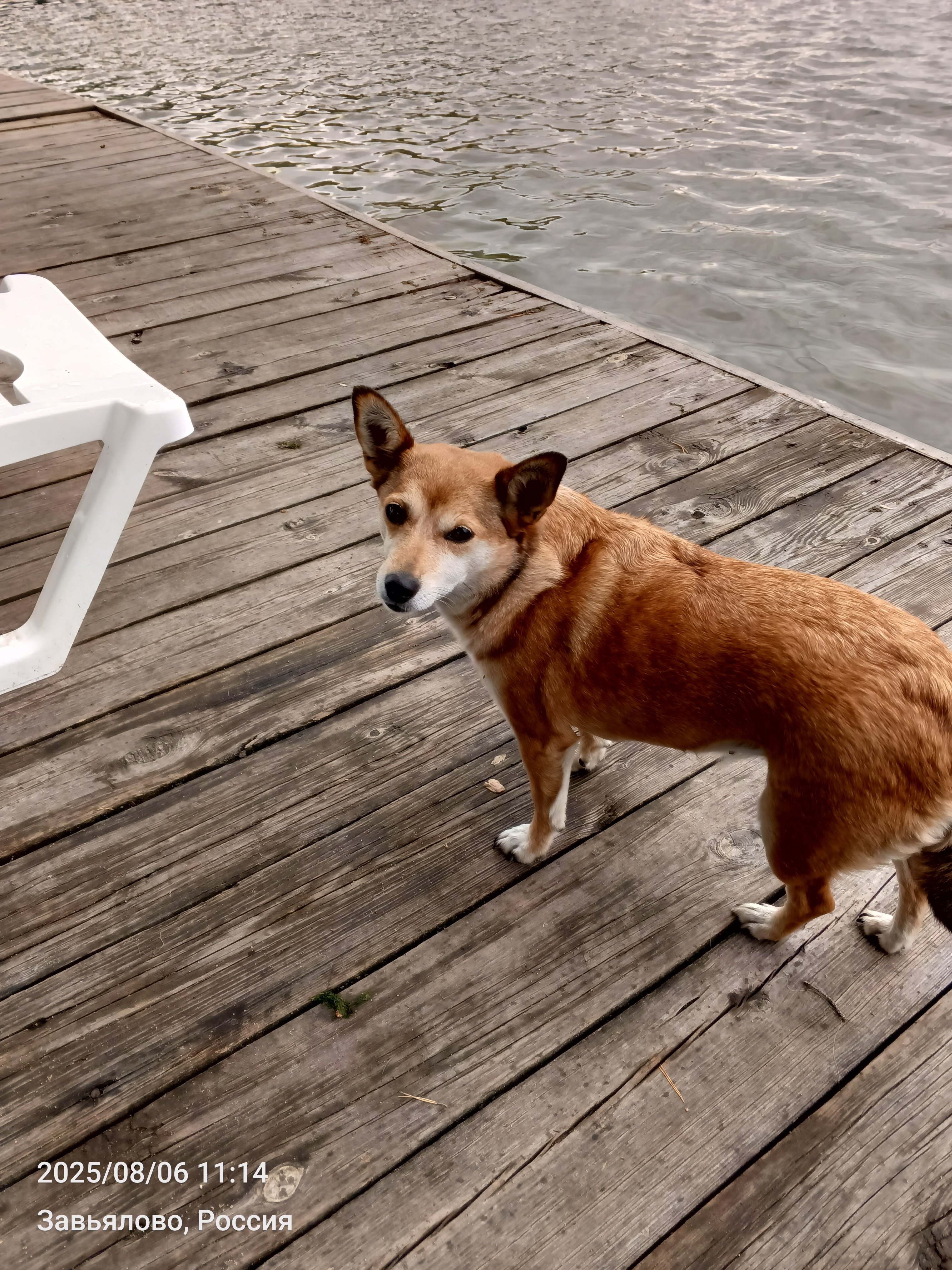 Фото Каракан