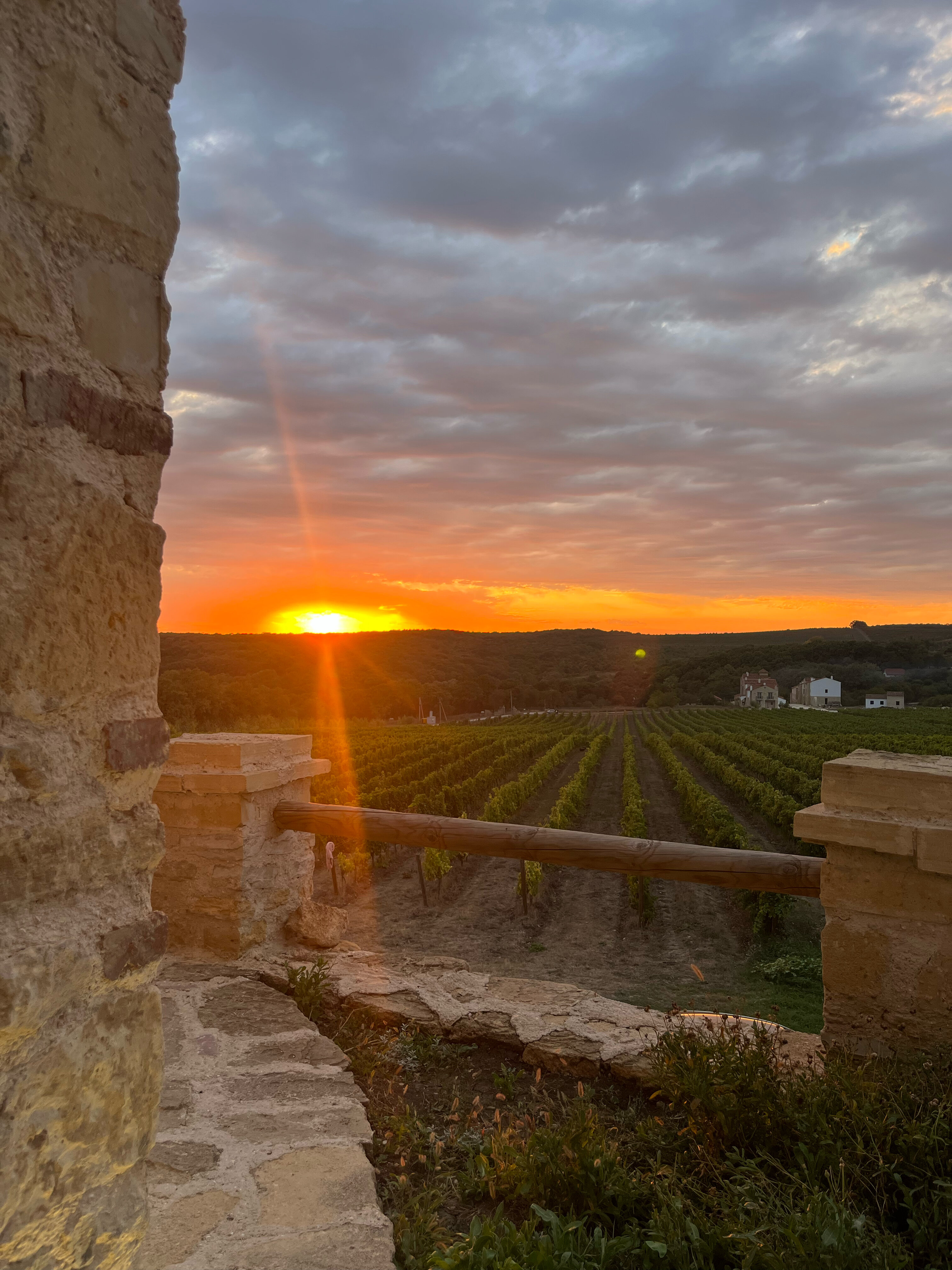 Фото Шато Андре