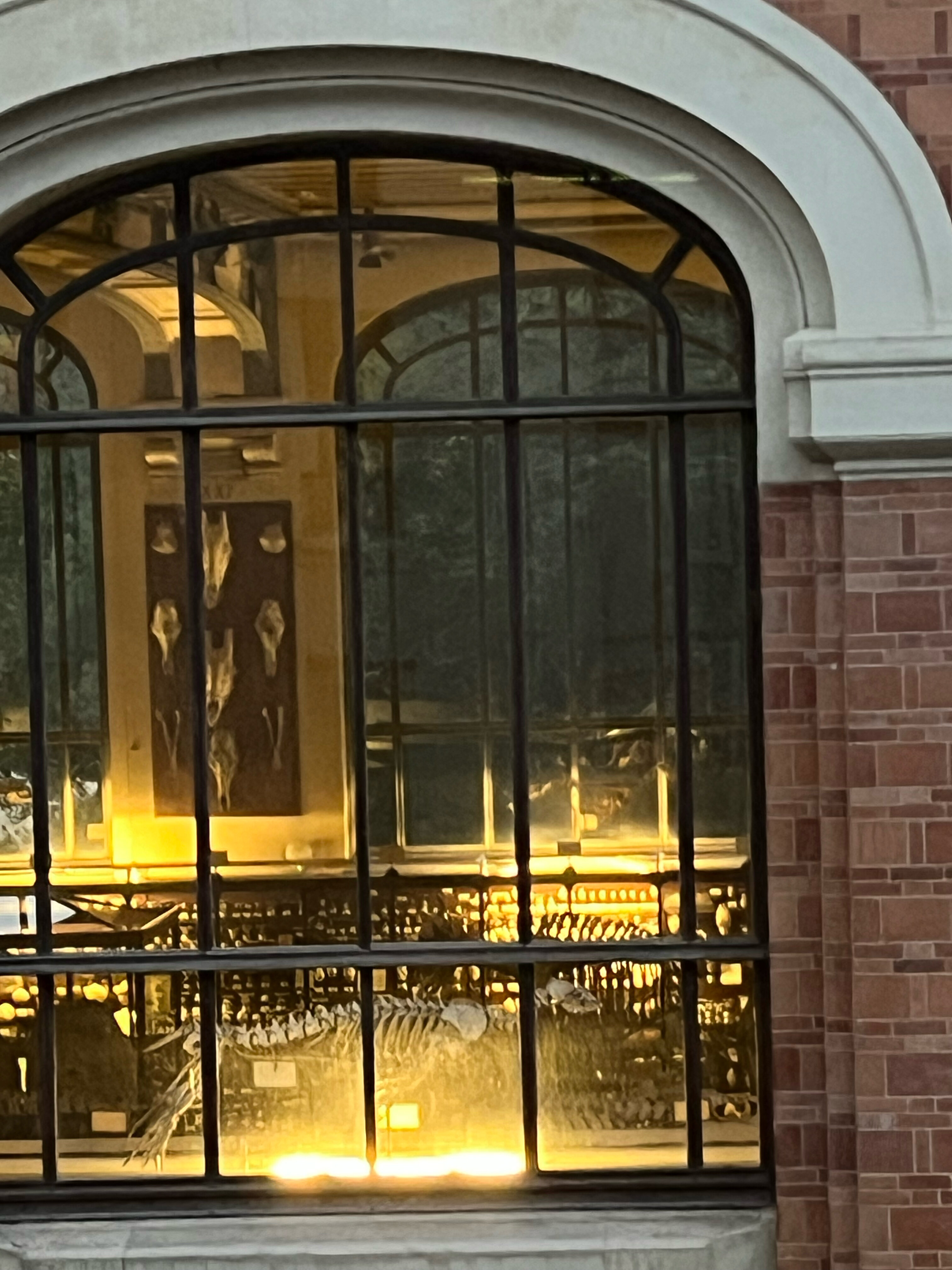 Фото Short Stay Group Museum View Serviced Apartments