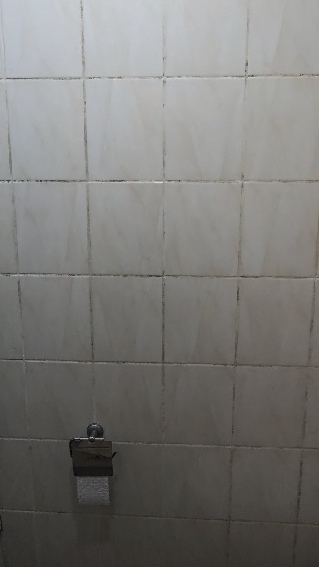 Фото Глория