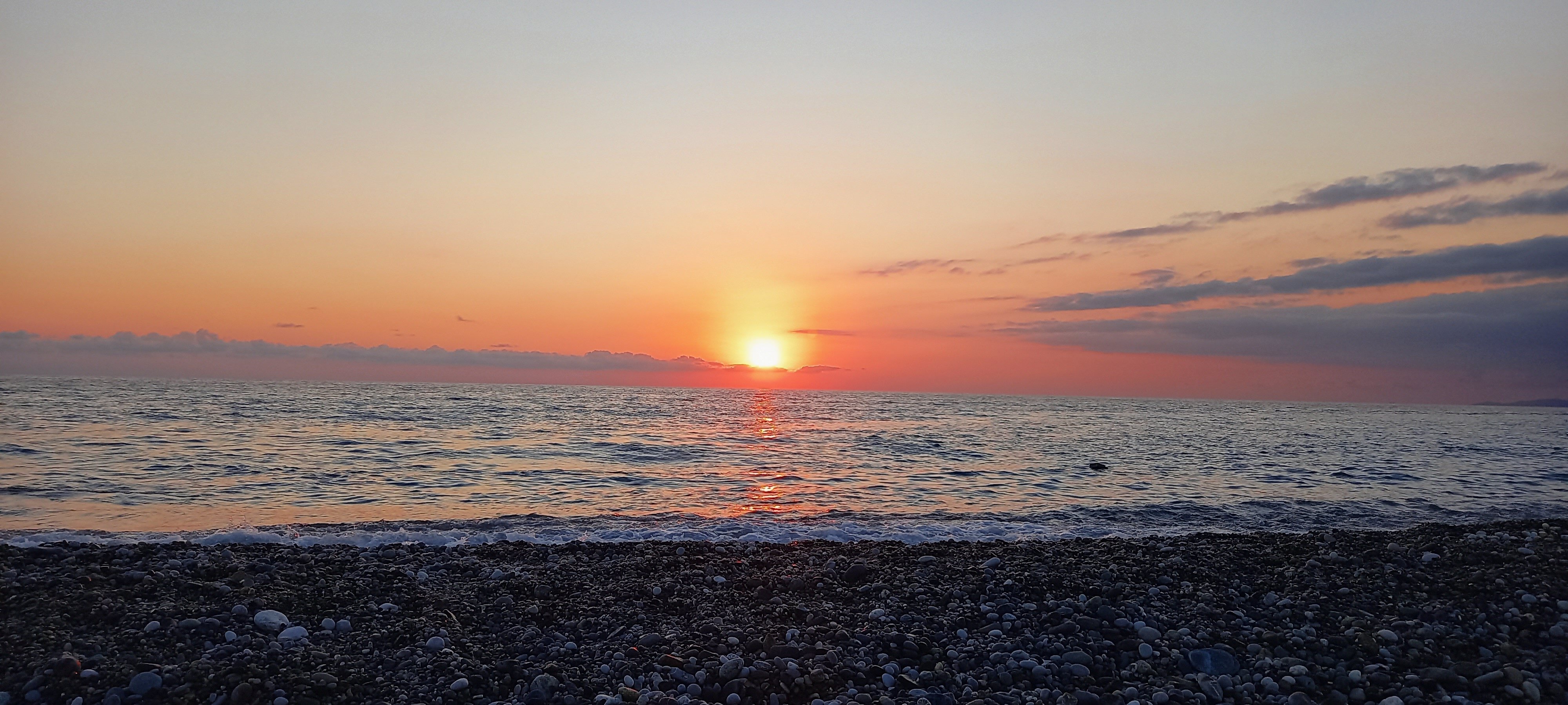 Фото Лесные домики