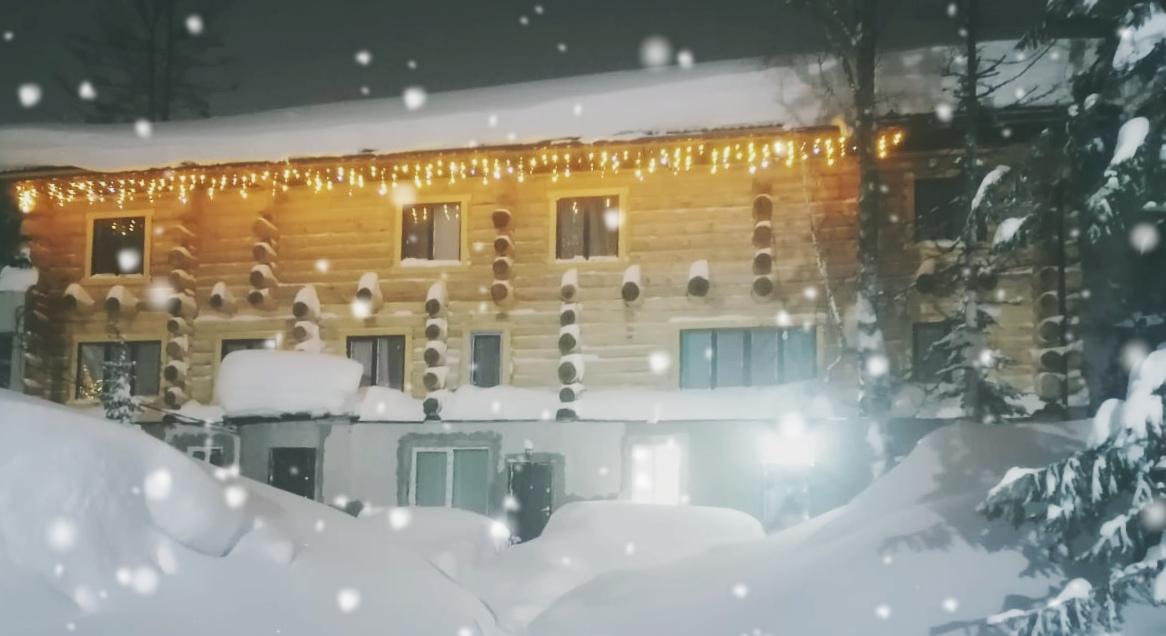 Фото Сила Сибири