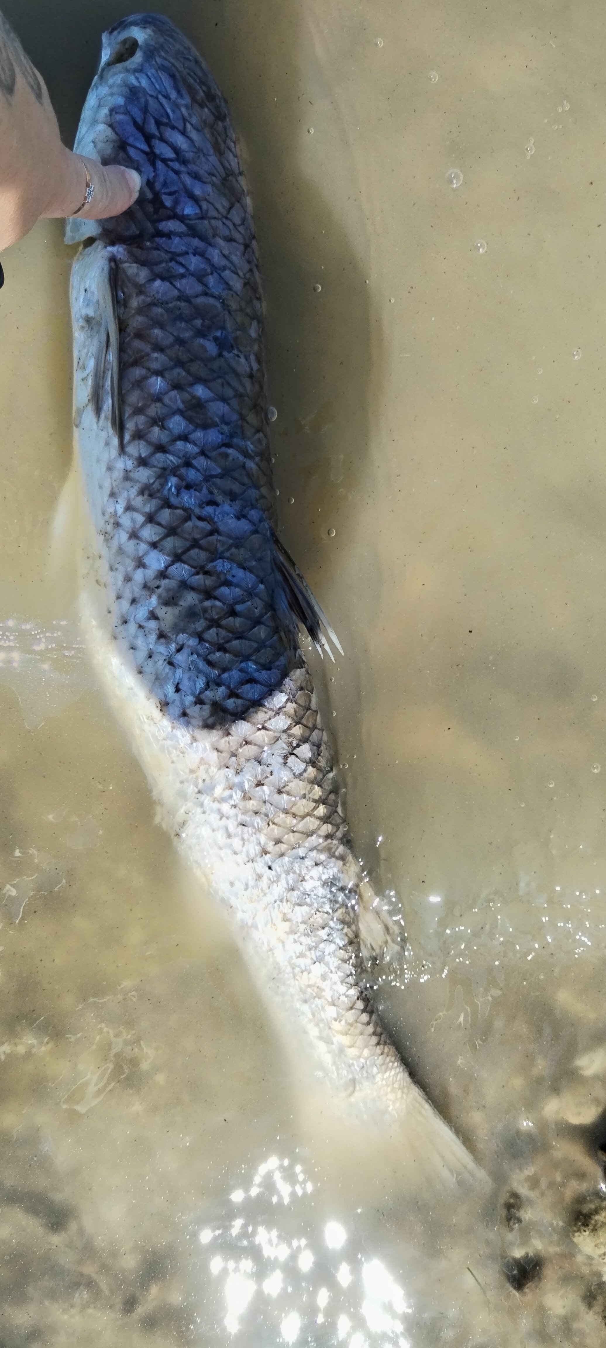 Фото Holiday Park Чумбур-Коса