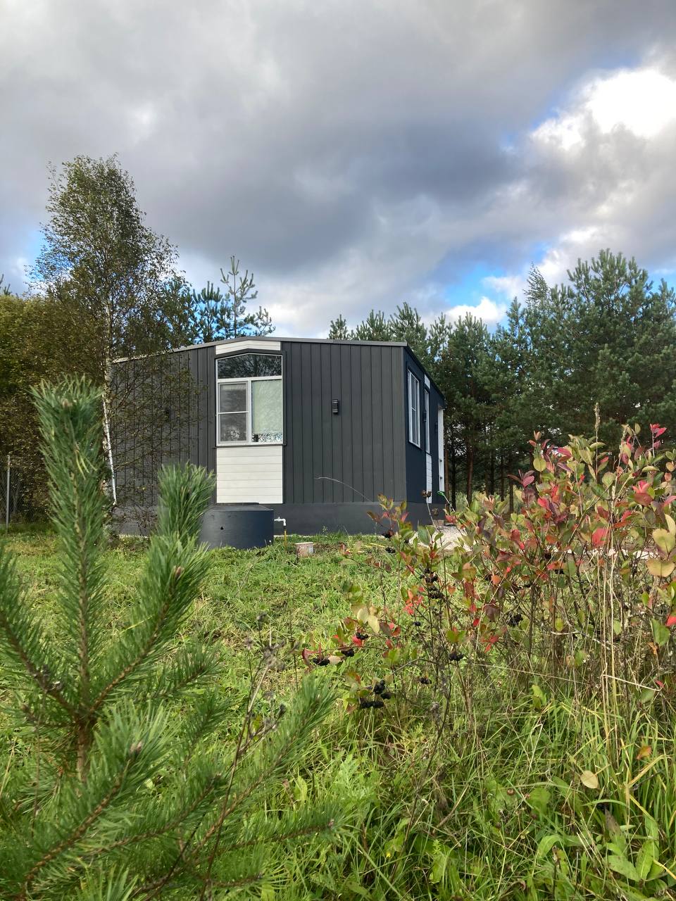 Фото Александровские дачи