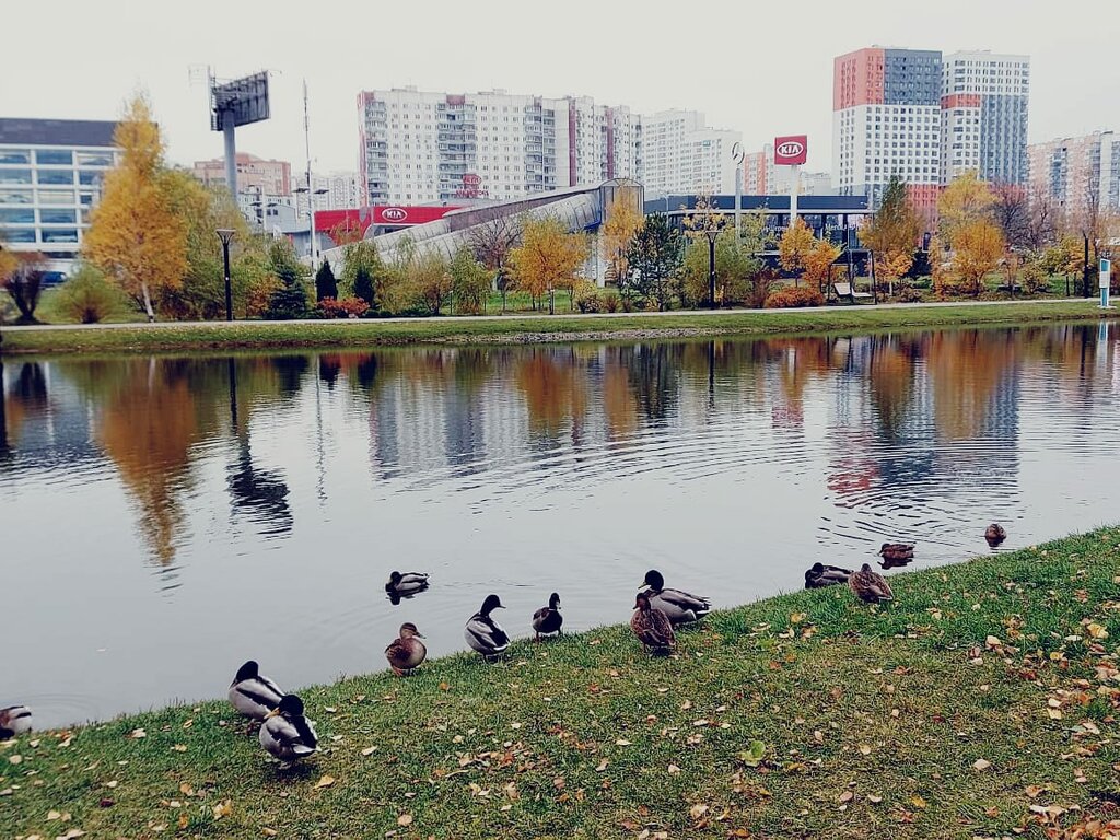 Coworking Coworking Port, Himki, photo