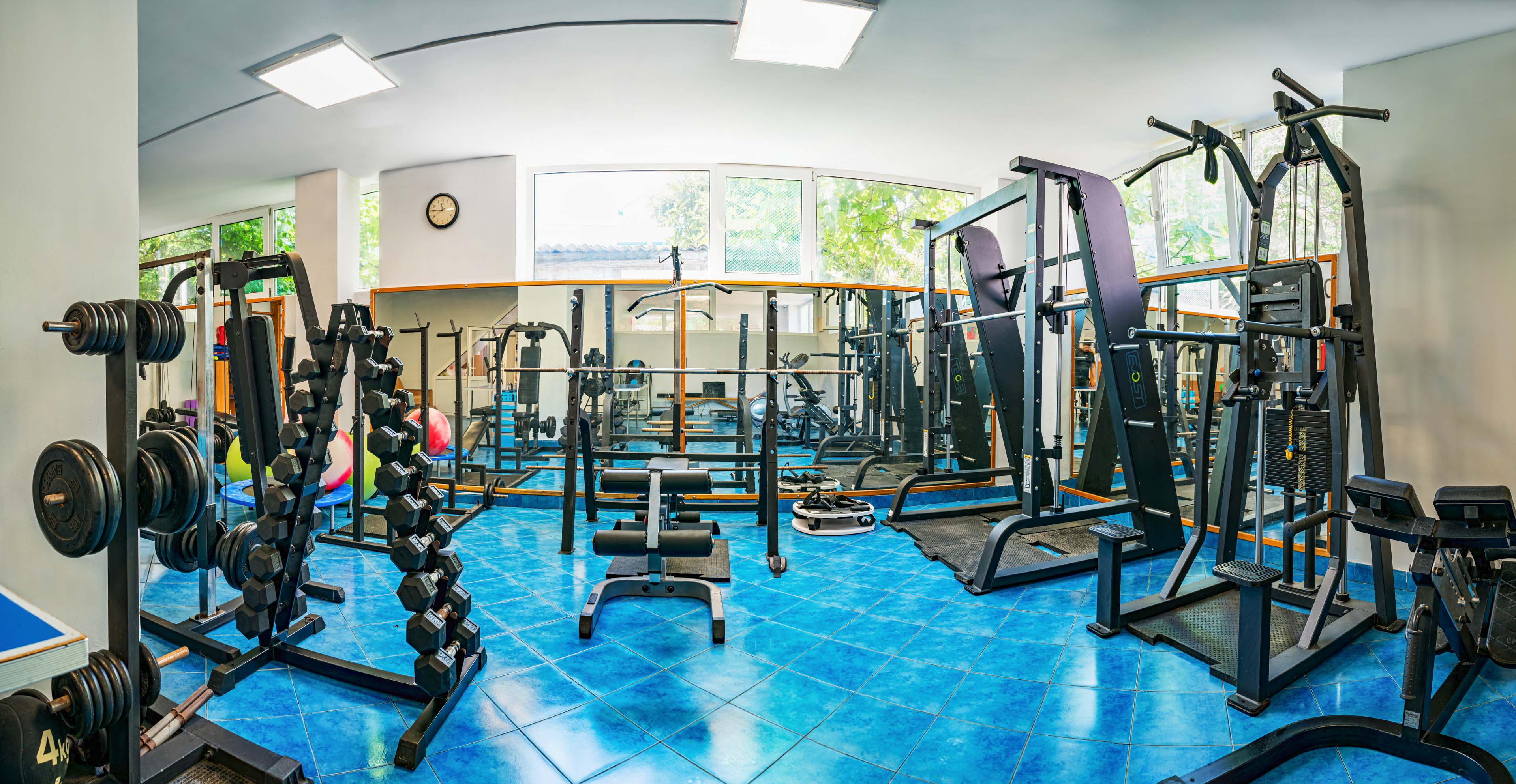 Фото Орешник