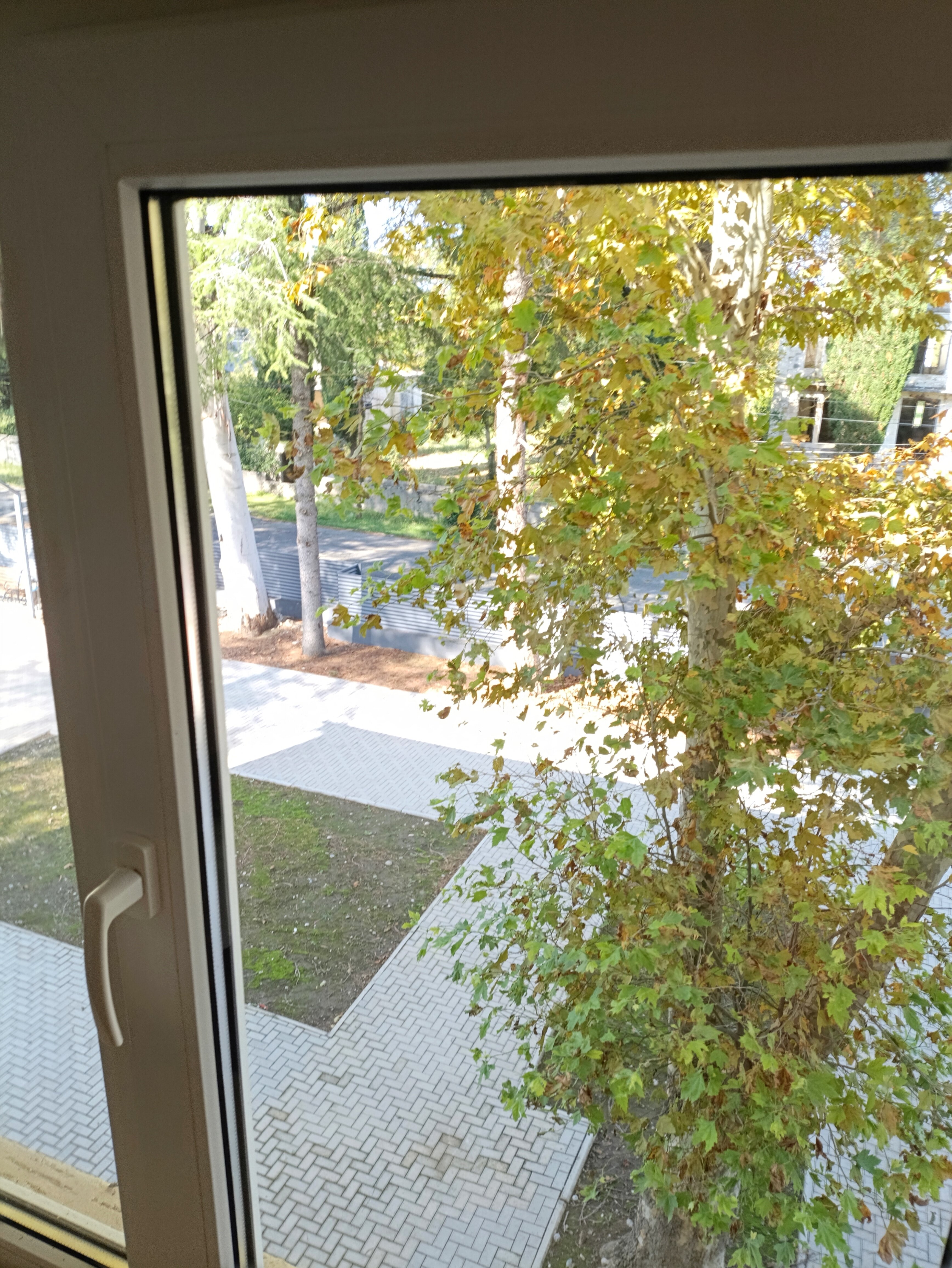 Фото Шоколад