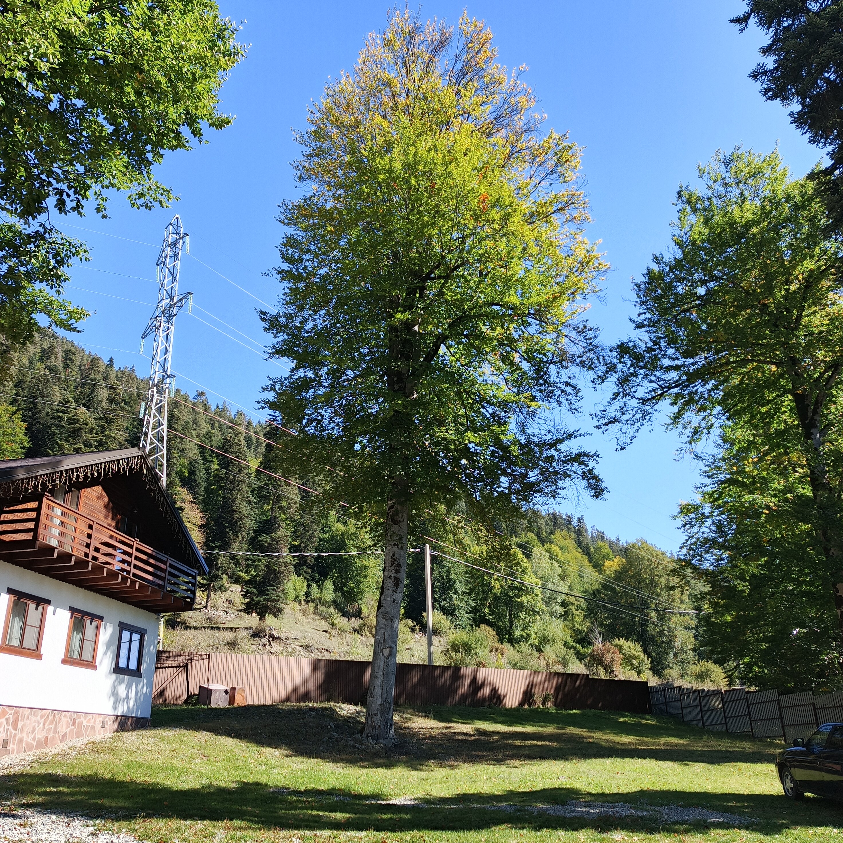 Фото Орлиное Поместье